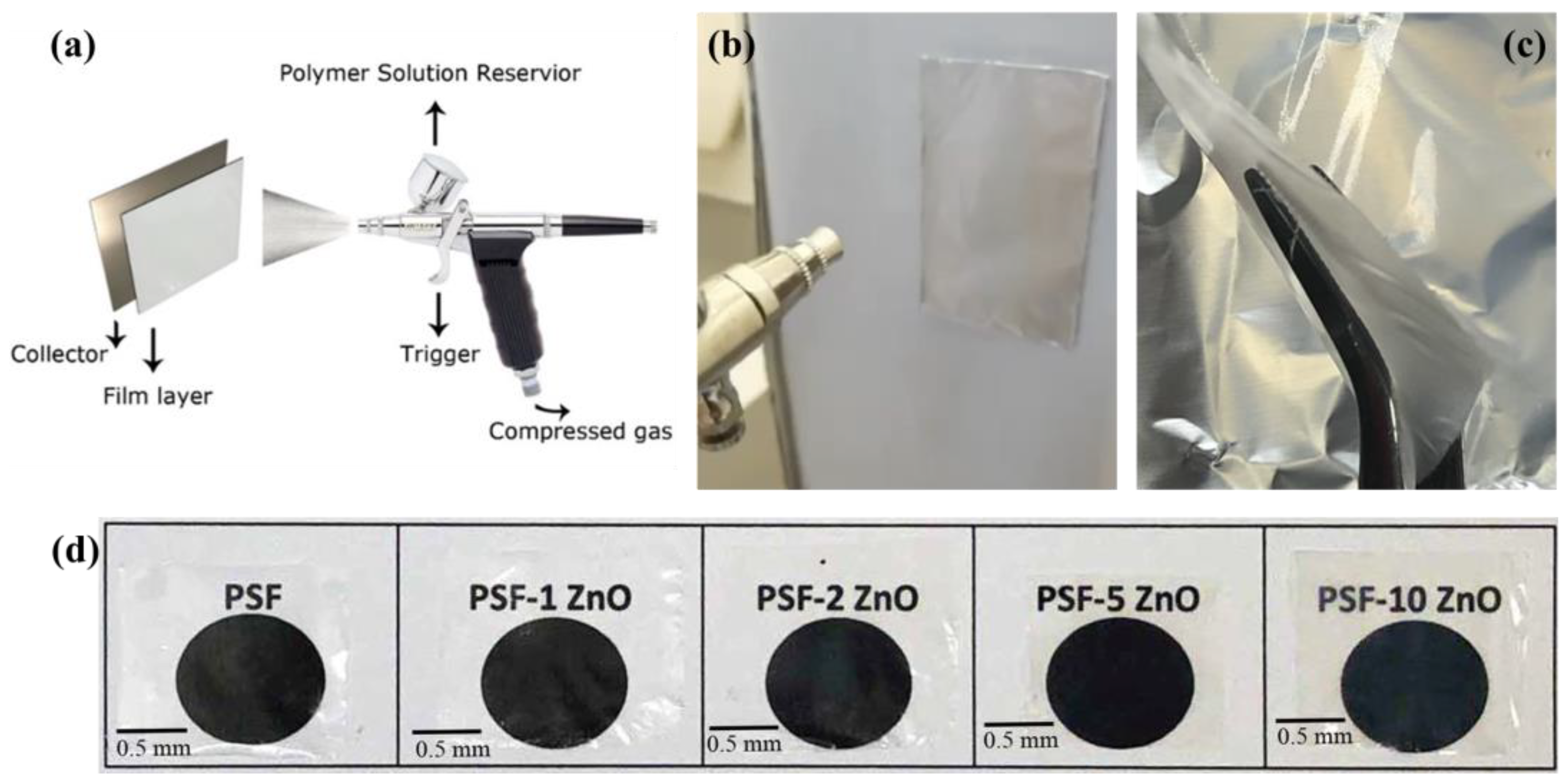 Nanomaterials 13 00625 g002