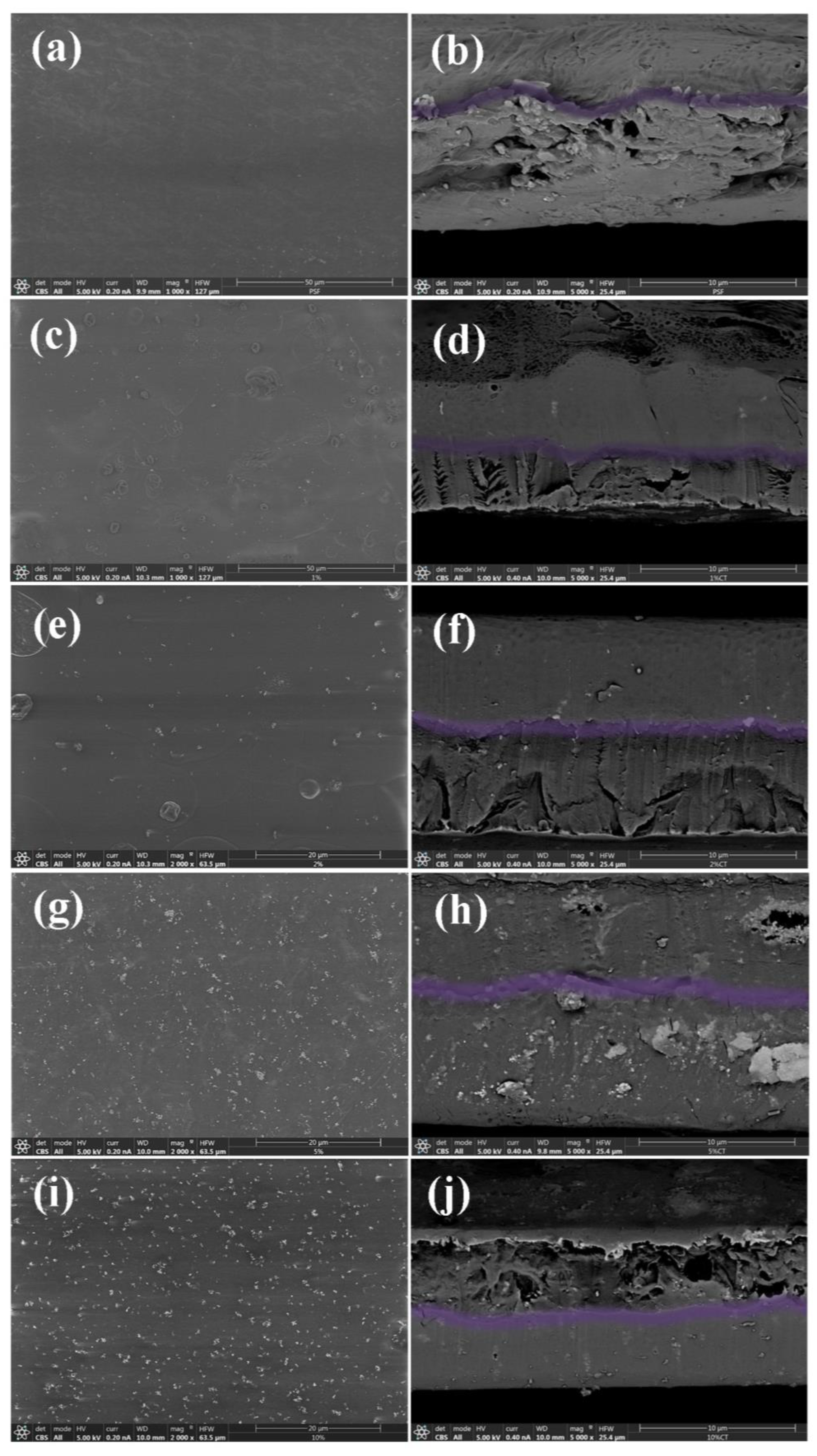 Nanomaterials 13 00625 g004