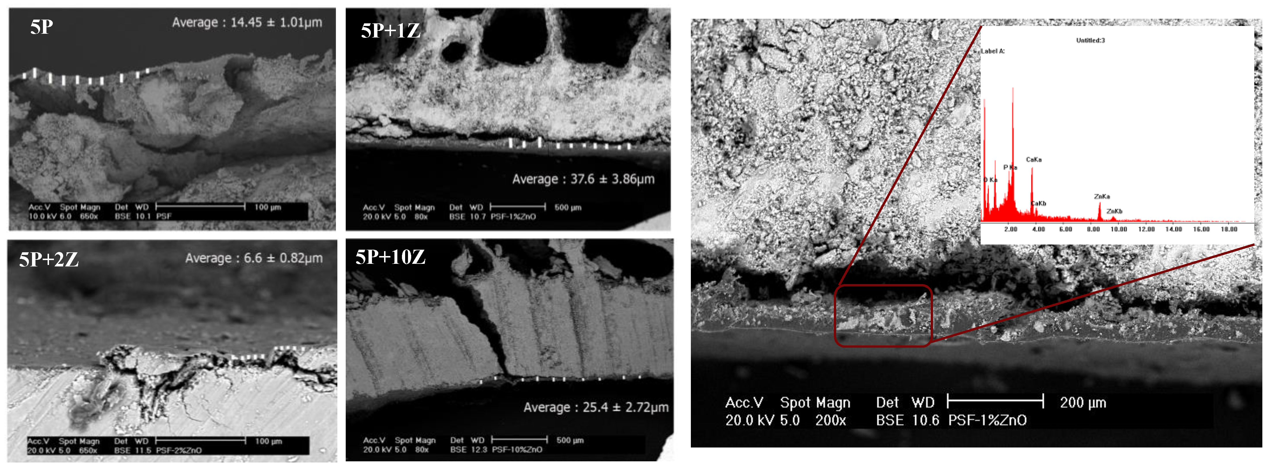 Nanomaterials 13 00625 g009