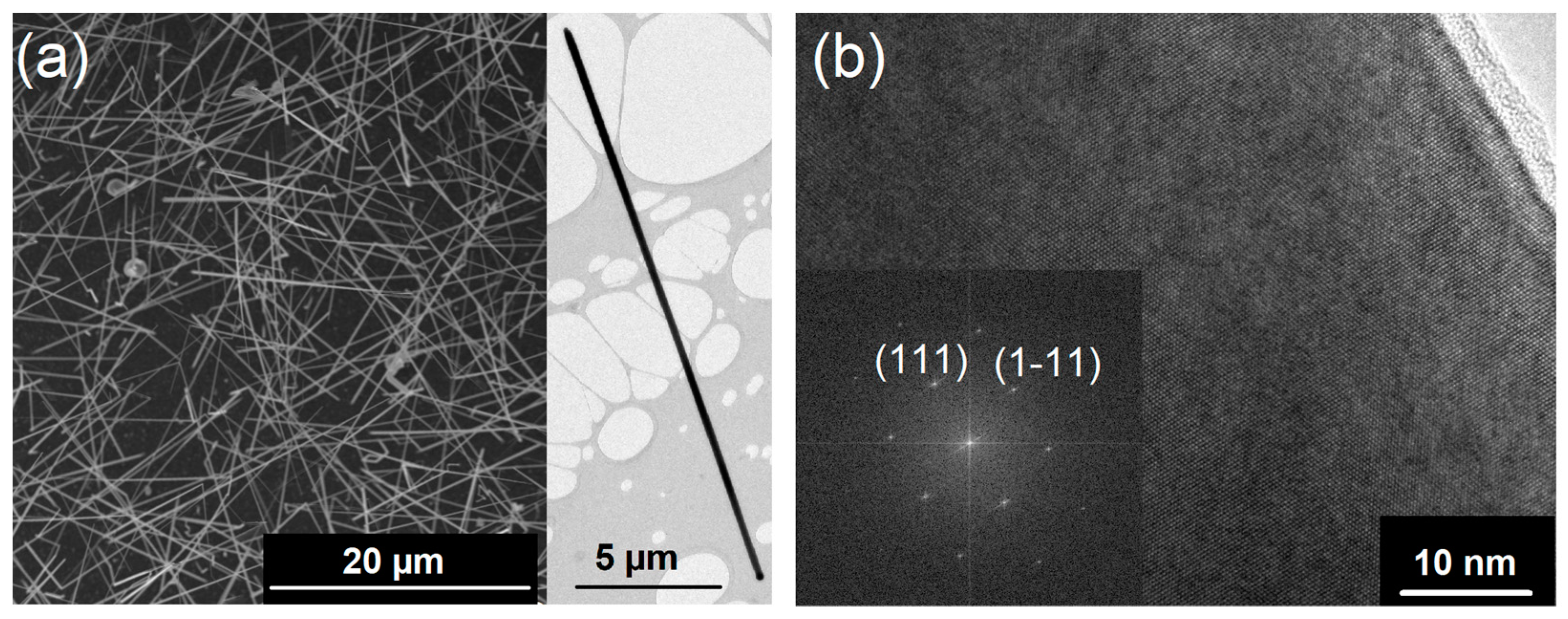 Nanomaterials 13 00627 g001 Nanomaterials 13 00627 g001