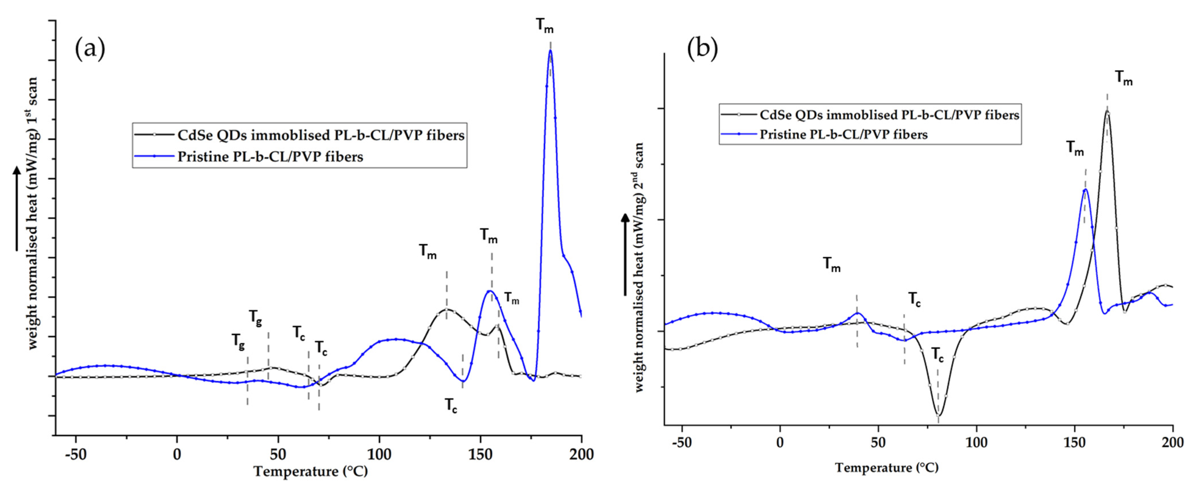 Nanomaterials 13 00630 g007