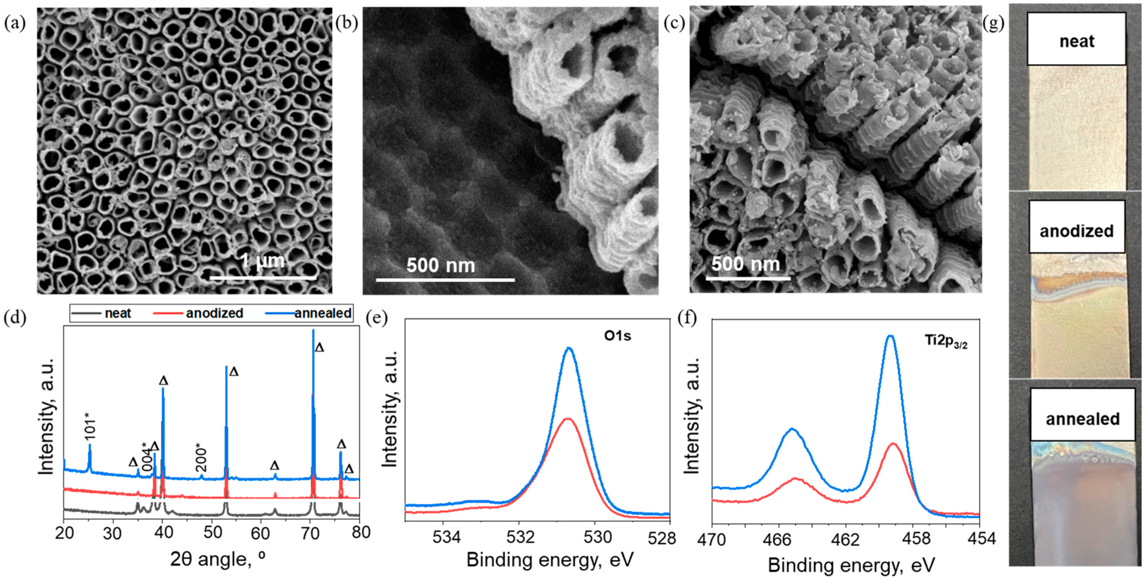 Nanomaterials 13 00639 g001 Nanomaterials 13 00639 g001