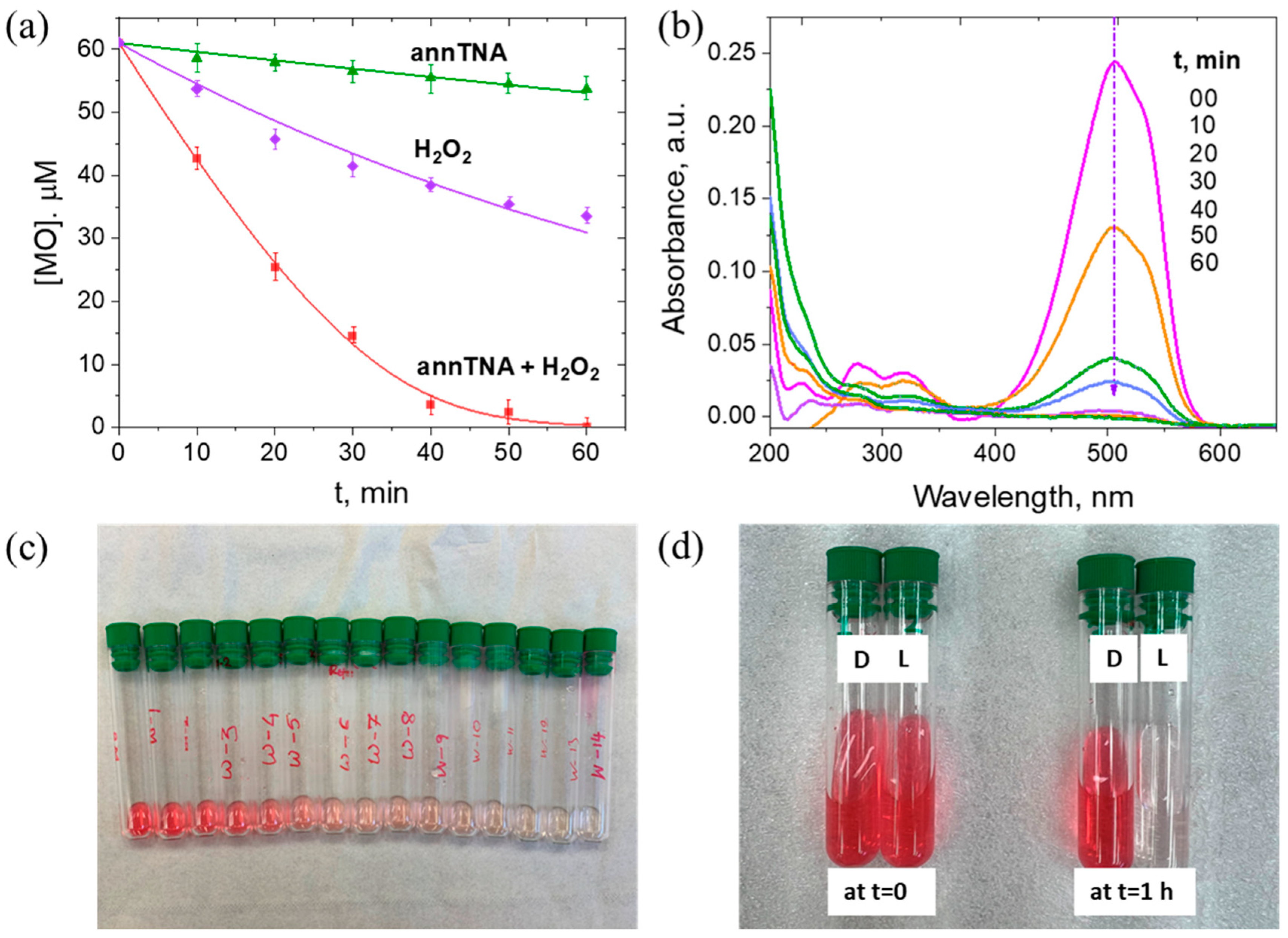 Nanomaterials 13 00639 g002 Nanomaterials 13 00639 g002