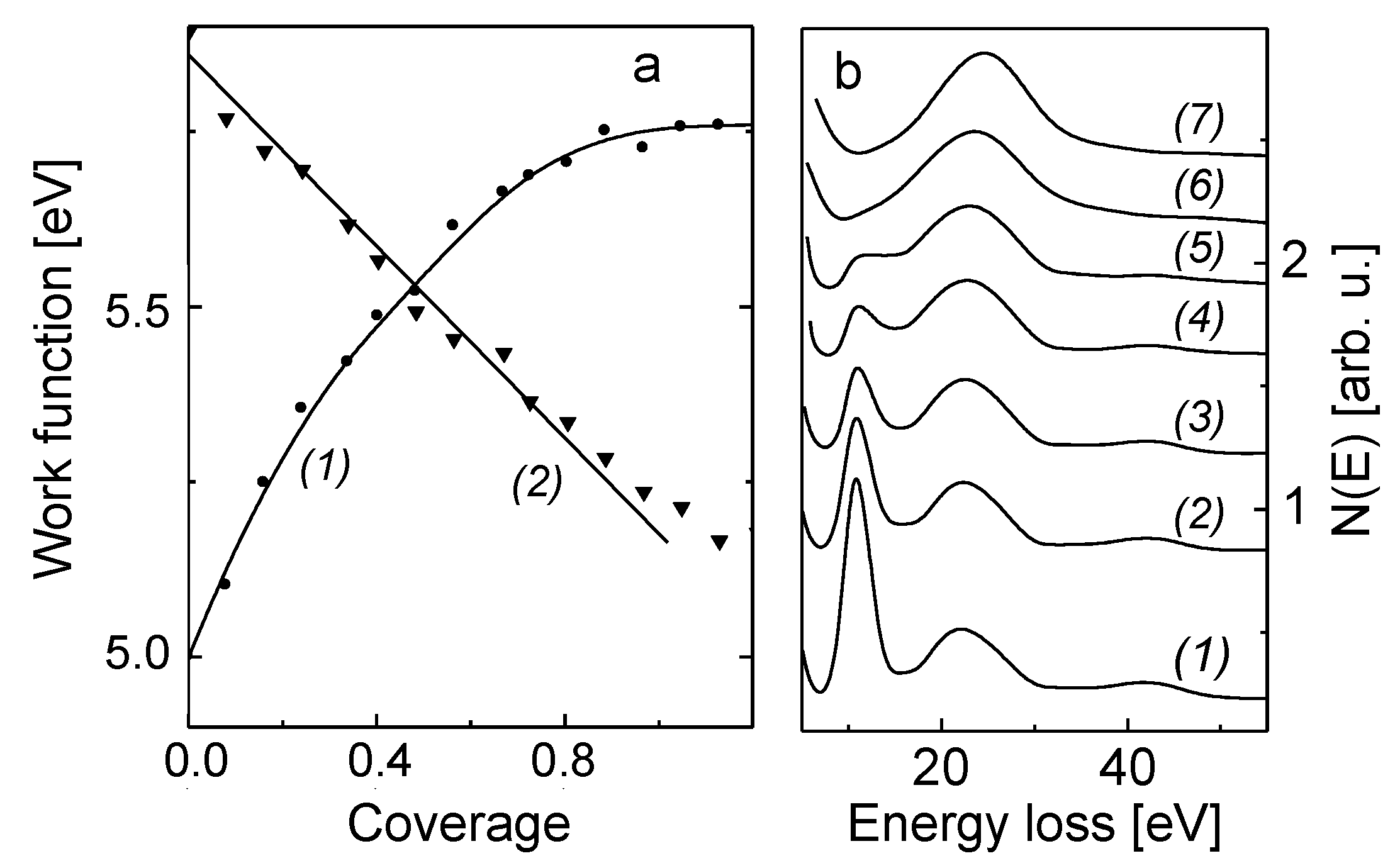 Nanomaterials 13 00651 g001