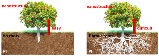 Research Progress and Application of Polyimide-Based