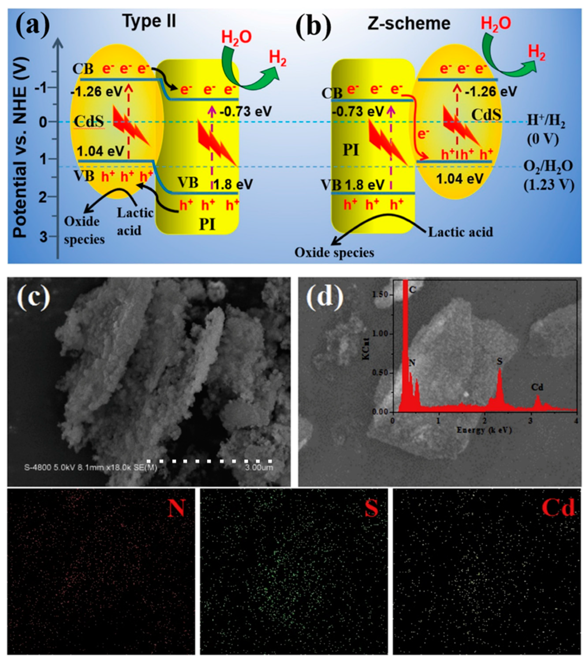 Nanomaterials 13 00656 g021