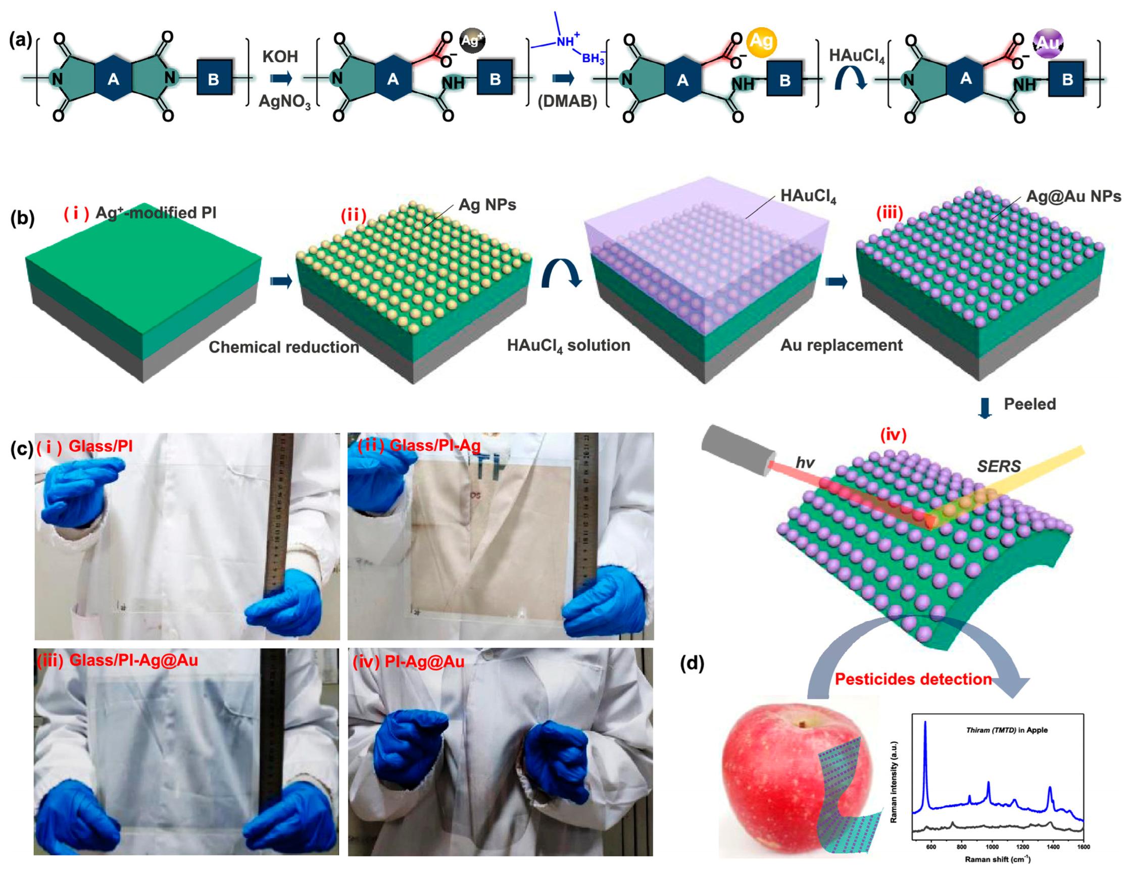 Nanomaterials 13 00656 g023