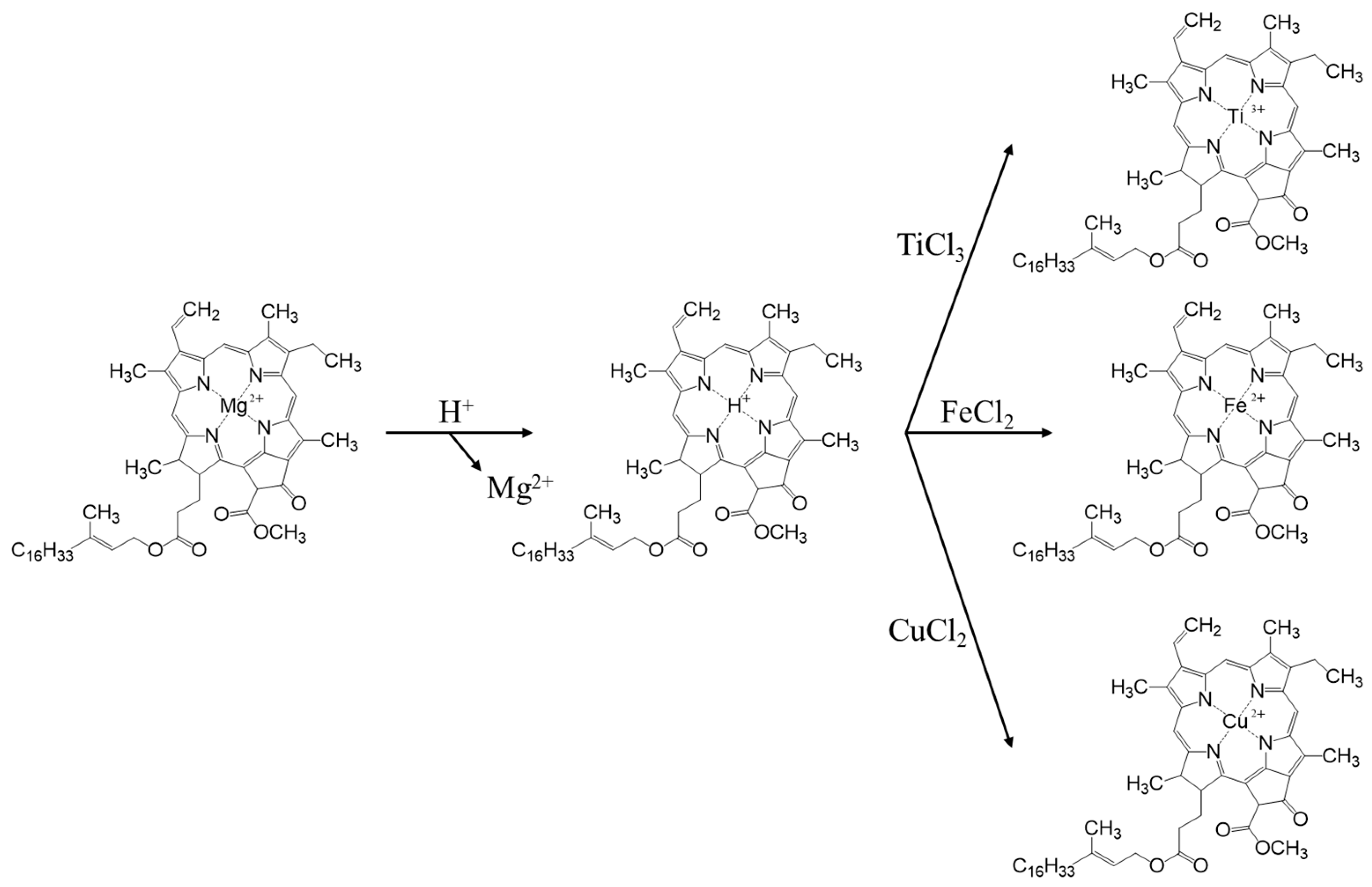 Nanomaterials 13 00664 g001 550