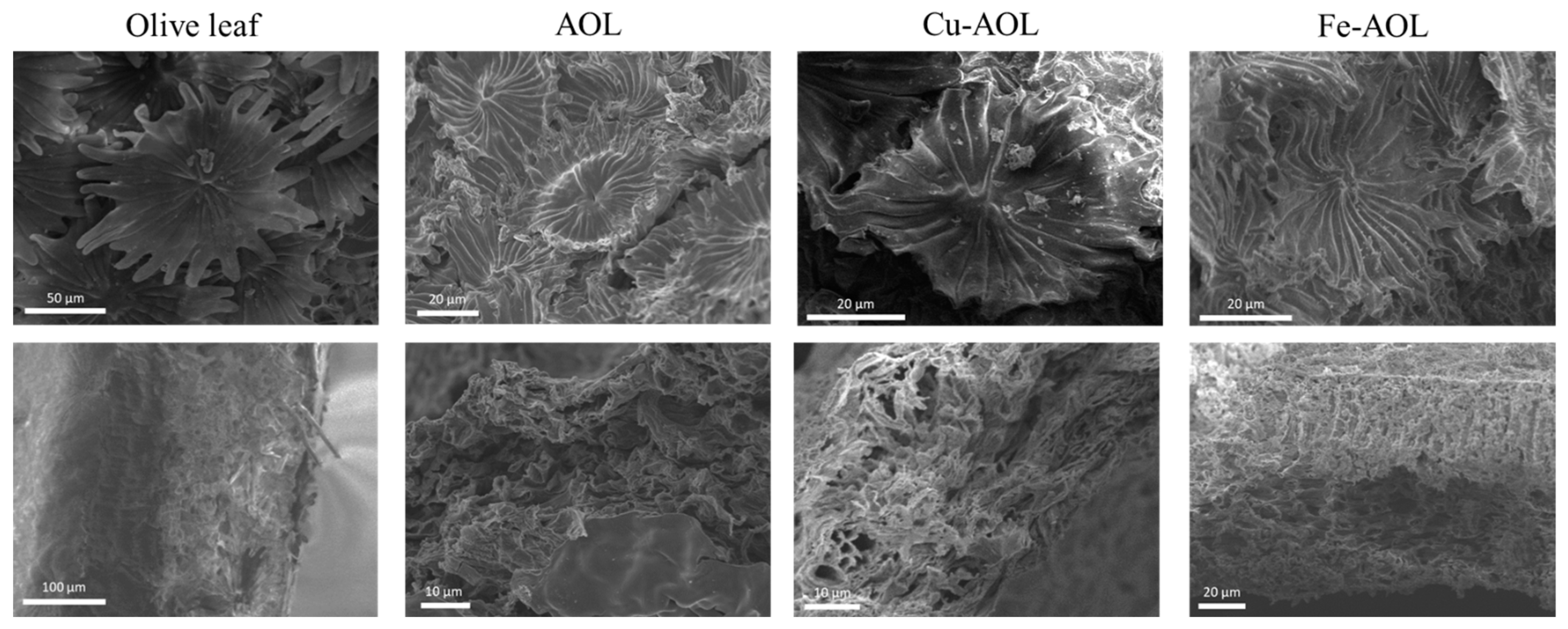 Nanomaterials 13 00664 g003 550