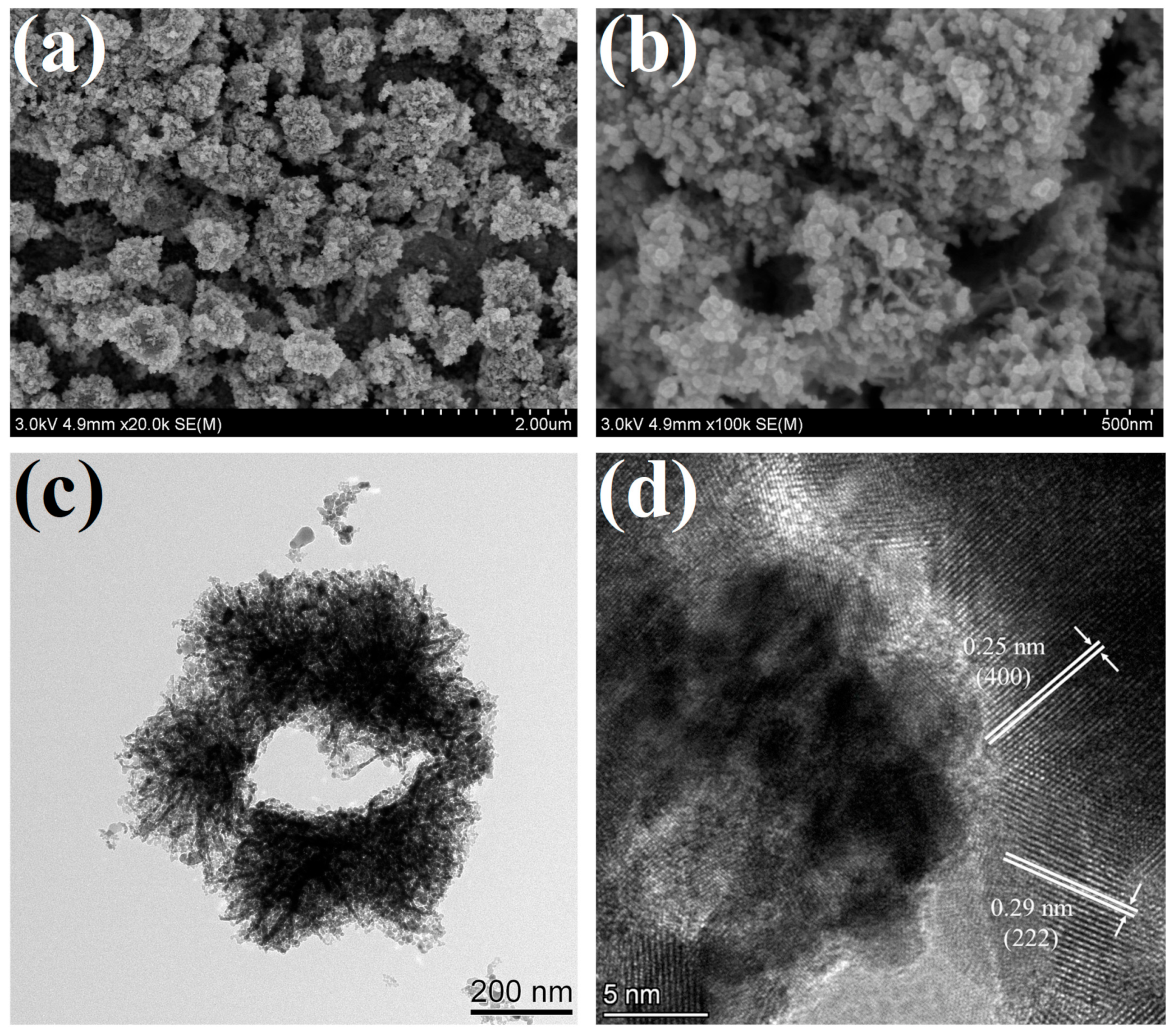 Nanomaterials 13 00668 g002