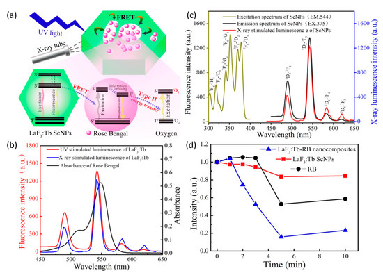X-ray Activated Nanoplatforms for Deep Tissue Photodynamic Therapy