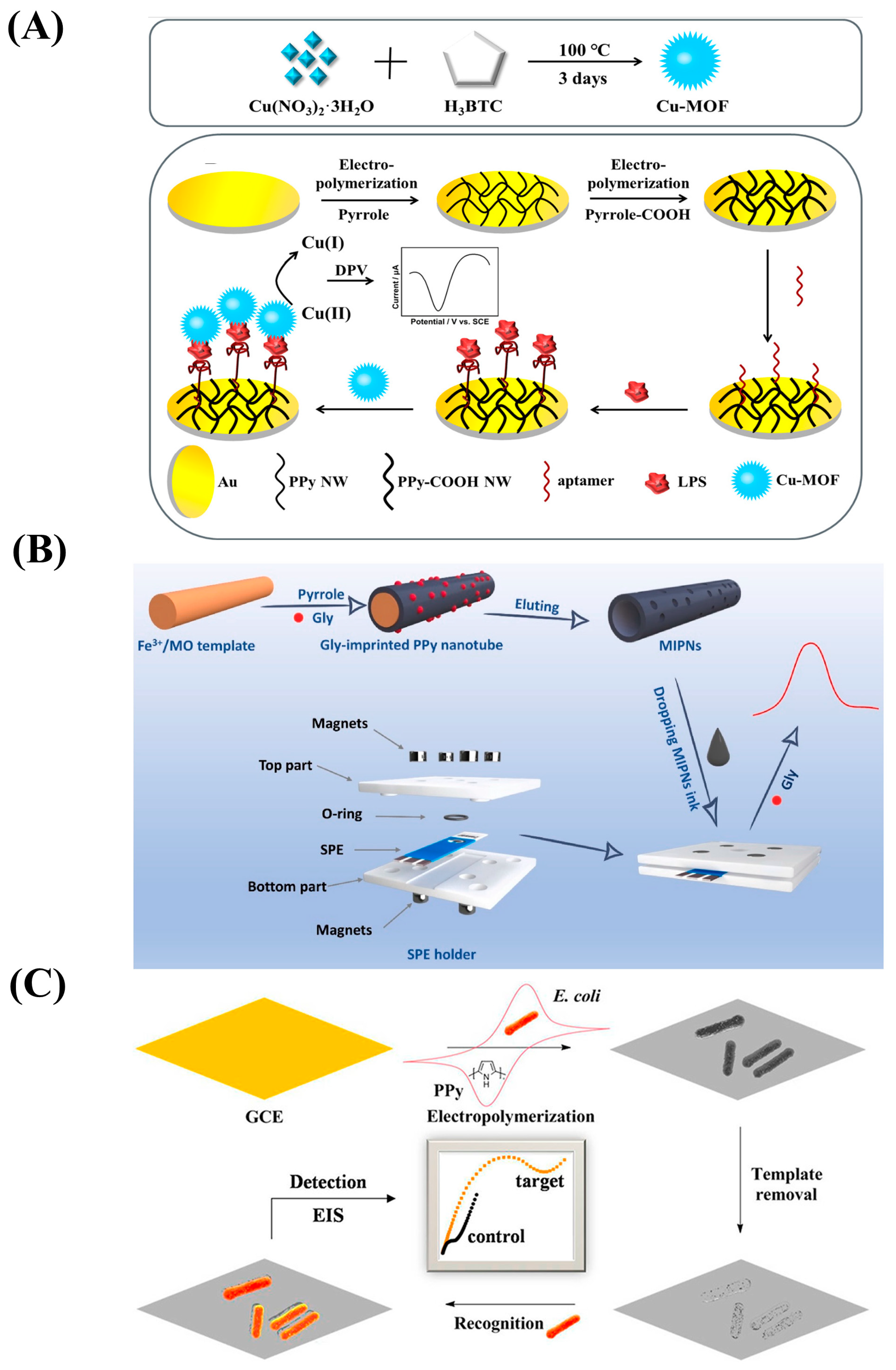 Nanomaterials 13 00674 g005 Nanomaterials 13 00674 g005