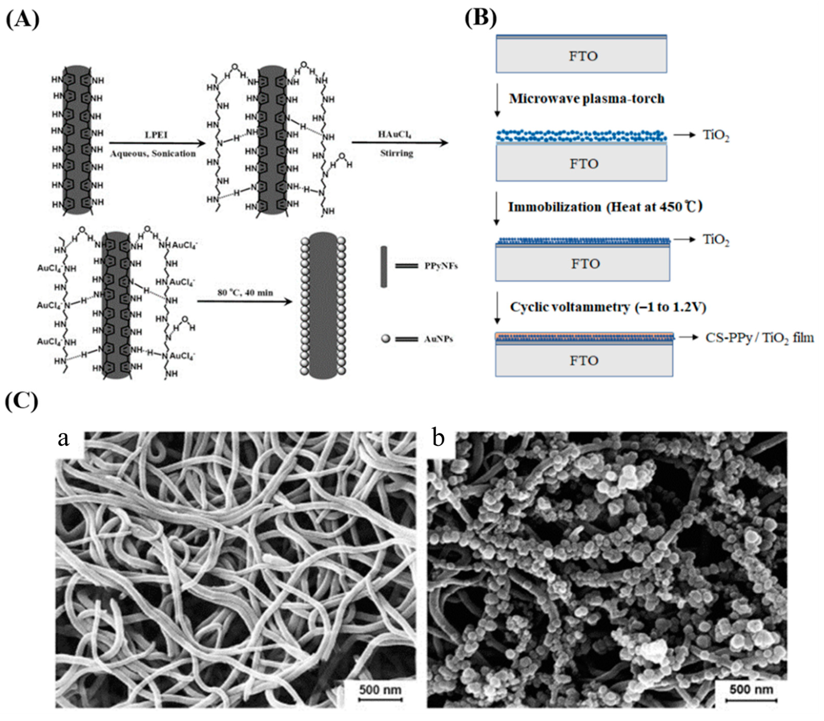 Nanomaterials 13 00674 g006 Nanomaterials 13 00674 g006