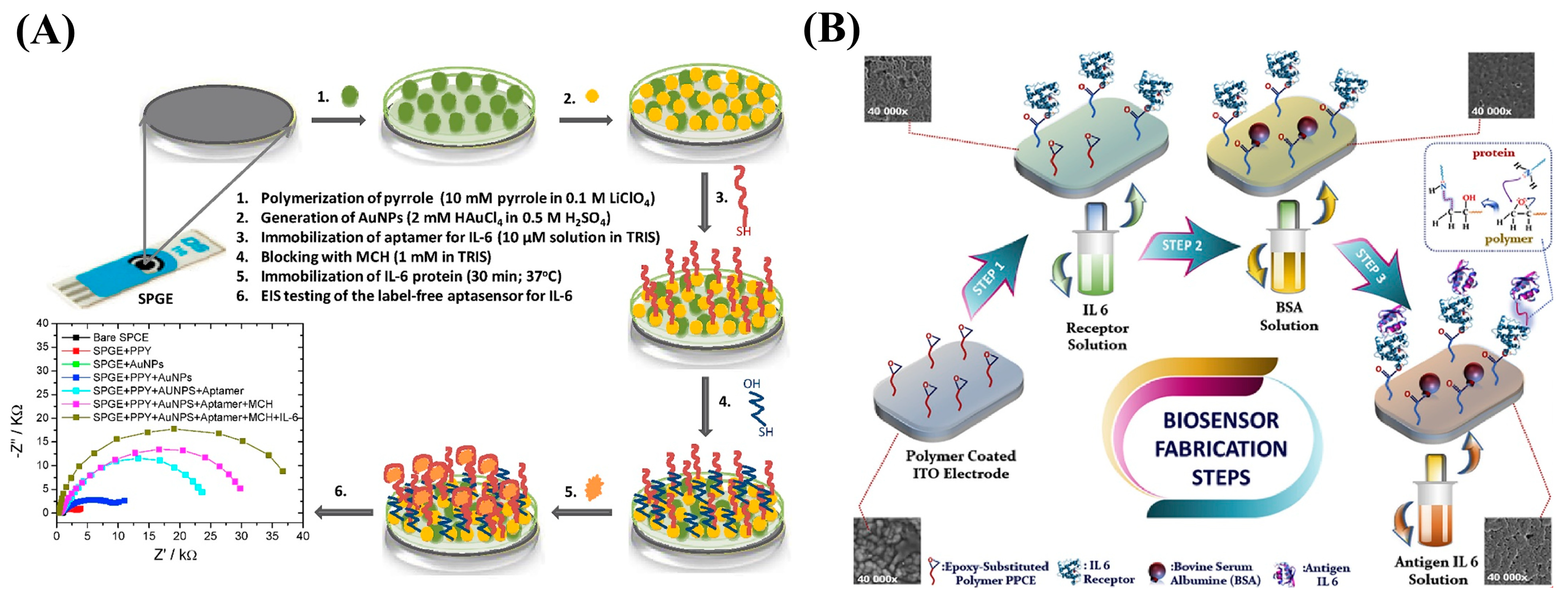 Nanomaterials 13 00674 g013 Nanomaterials 13 00674 g013