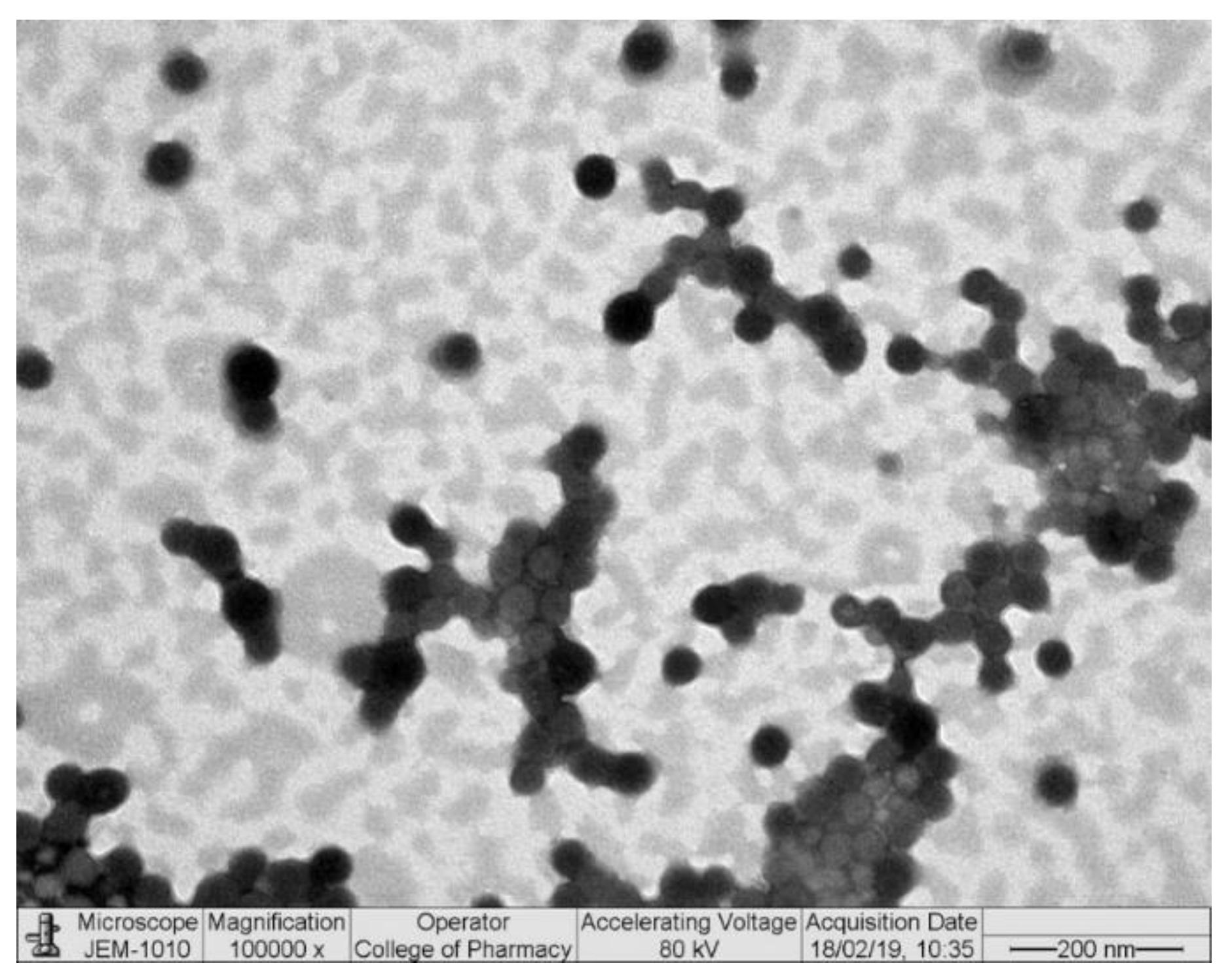 Nanomaterials 13 00681 g002 550