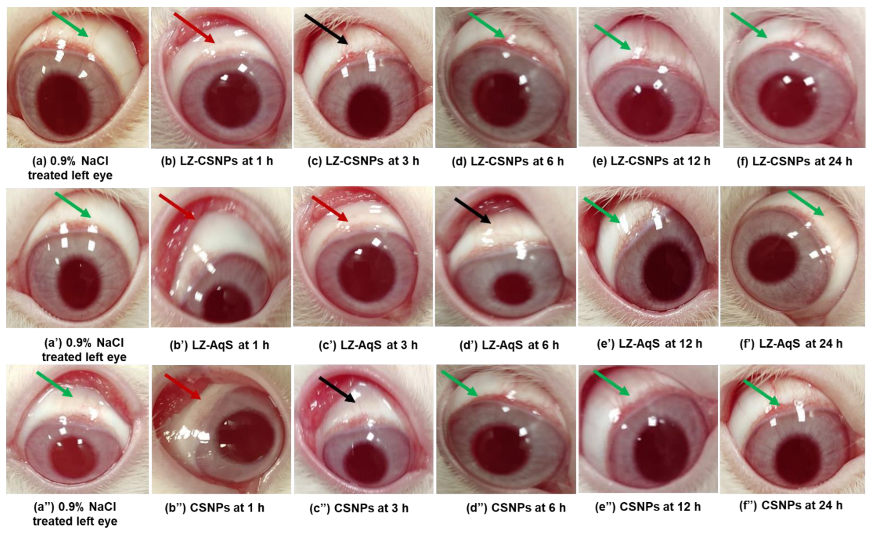 Nanomaterials 13 00681 g005 550