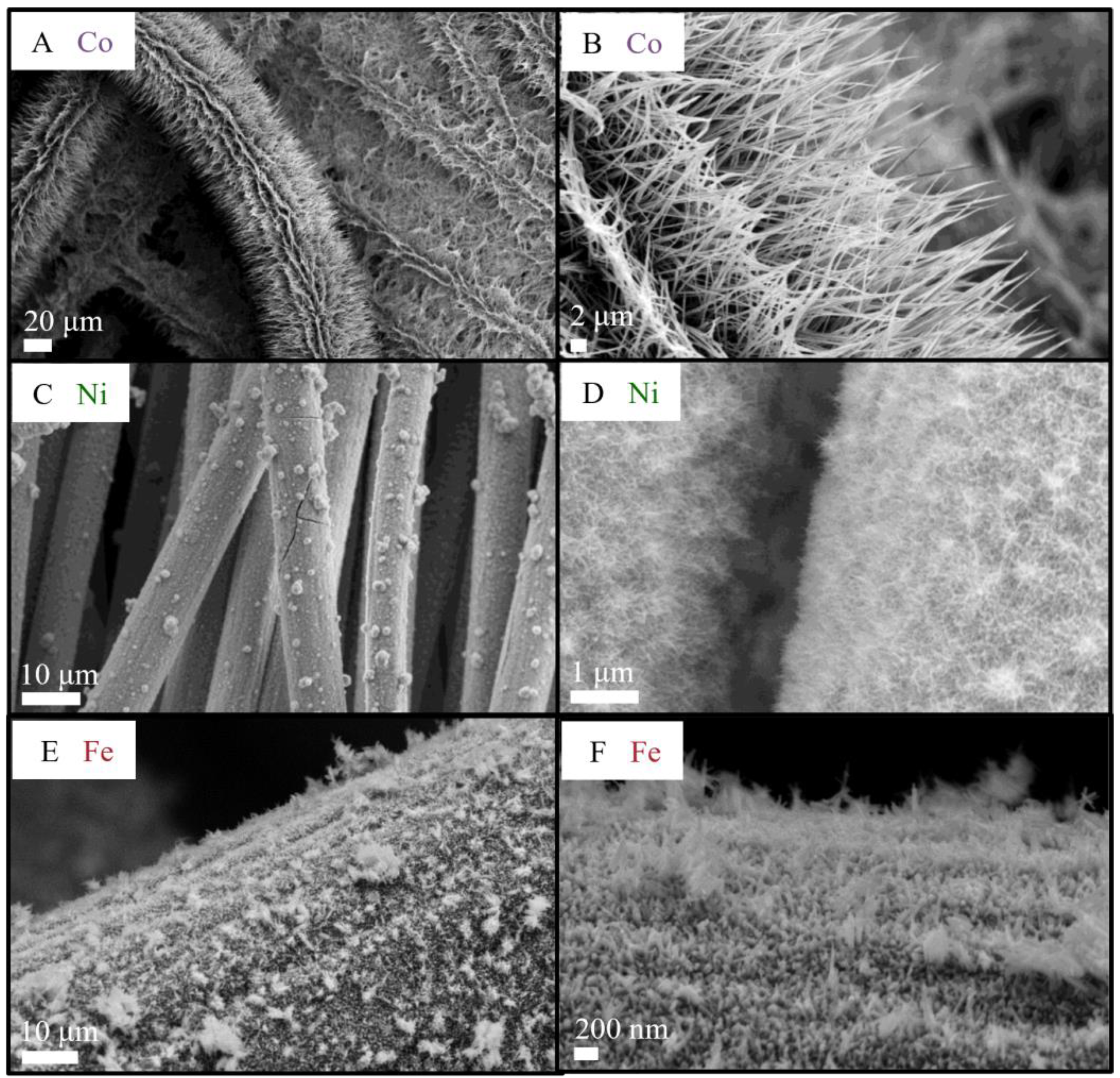 Nanomaterials 13 00683 g001