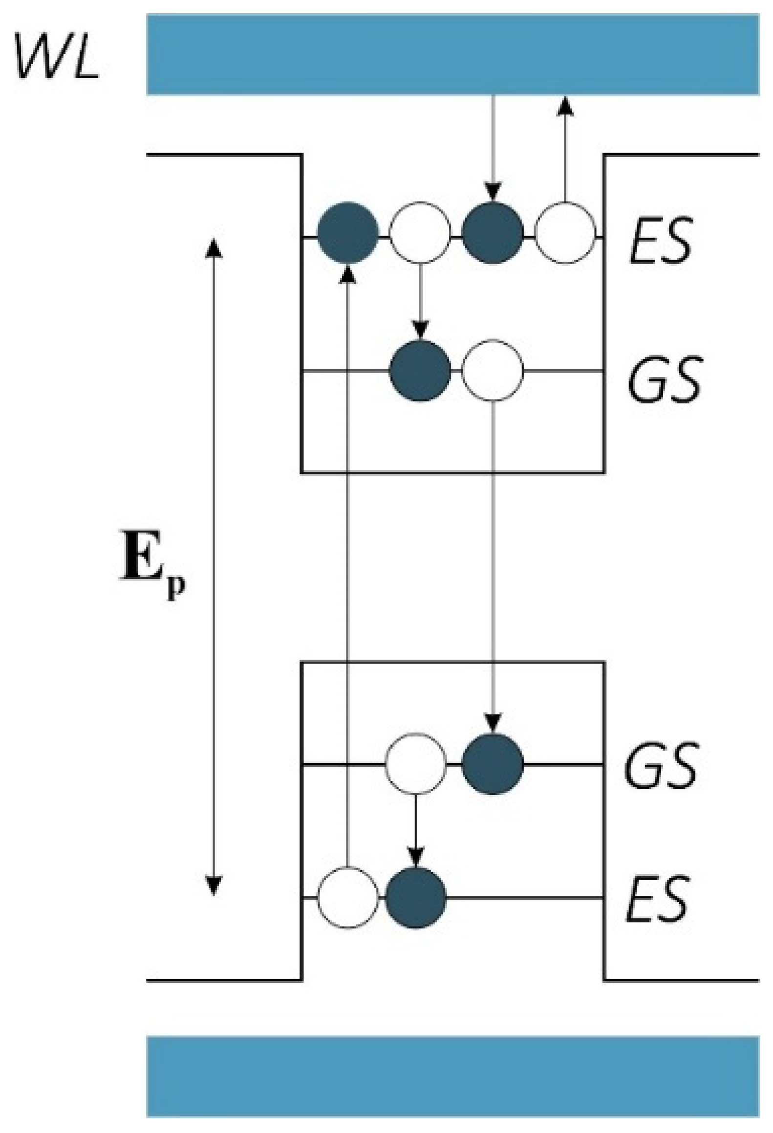 Nanomaterials 13 00685 g006 Nanomaterials 13 00685 g006