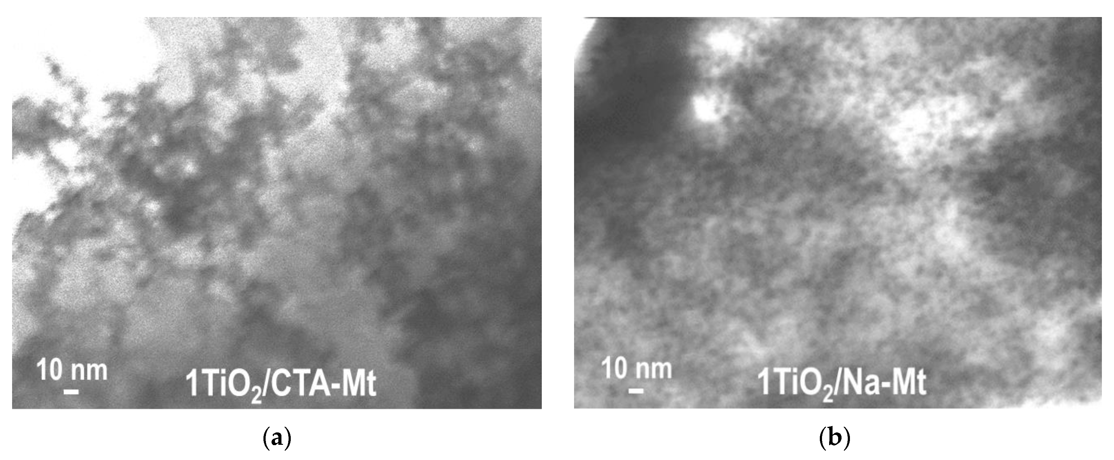 Nanomaterials 13 00686 g003