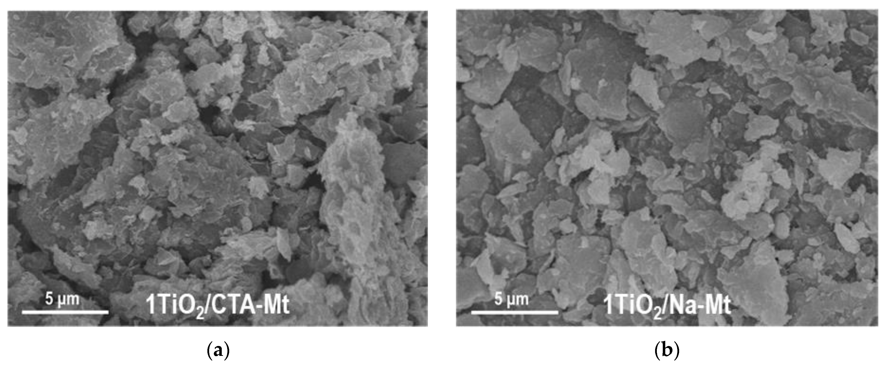 Nanomaterials 13 00686 g004a
