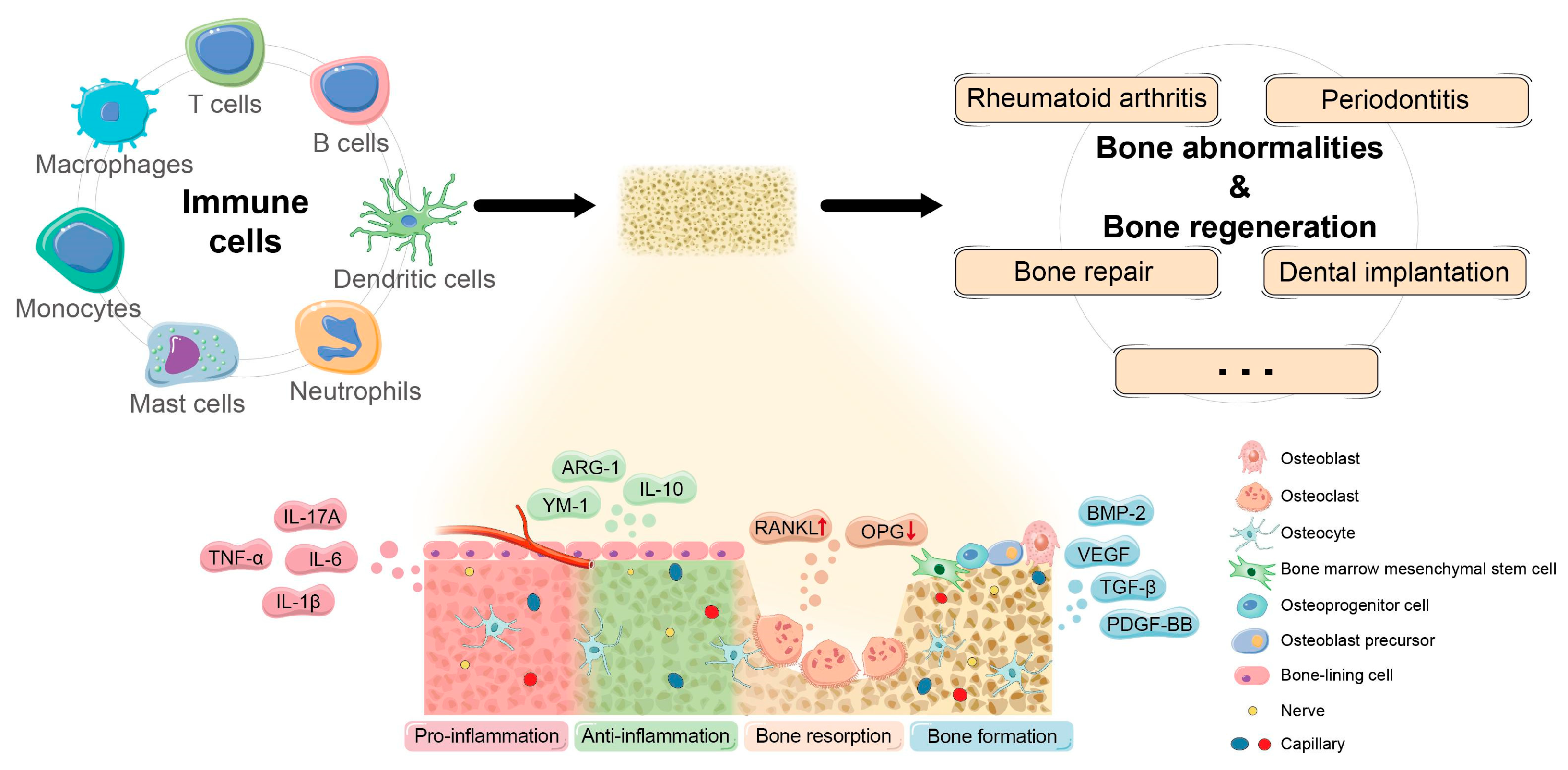 Nanomaterials 13 00692 g002 Nanomaterials 13 00692 g002
