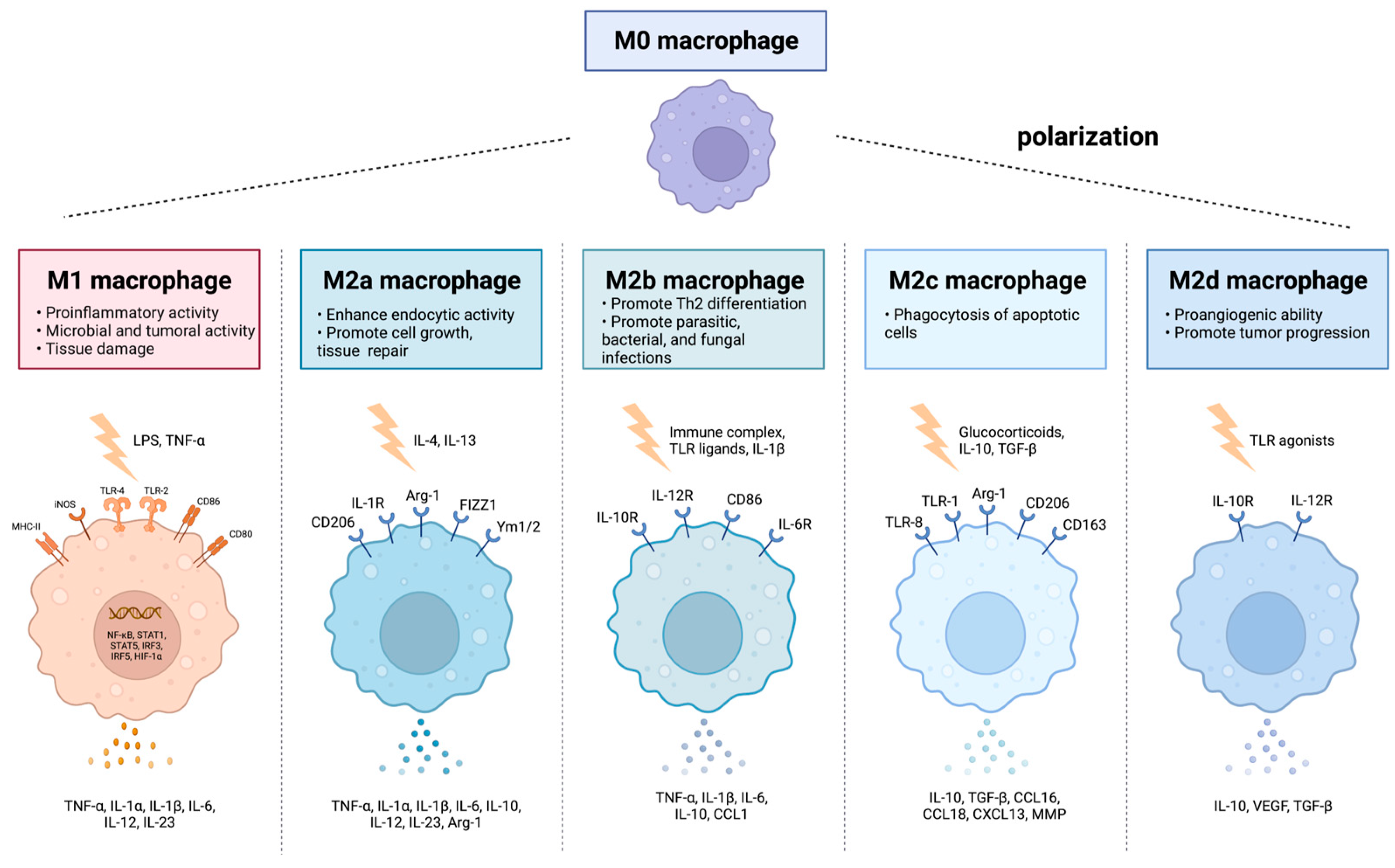 Nanomaterials 13 00692 g003 Nanomaterials 13 00692 g003