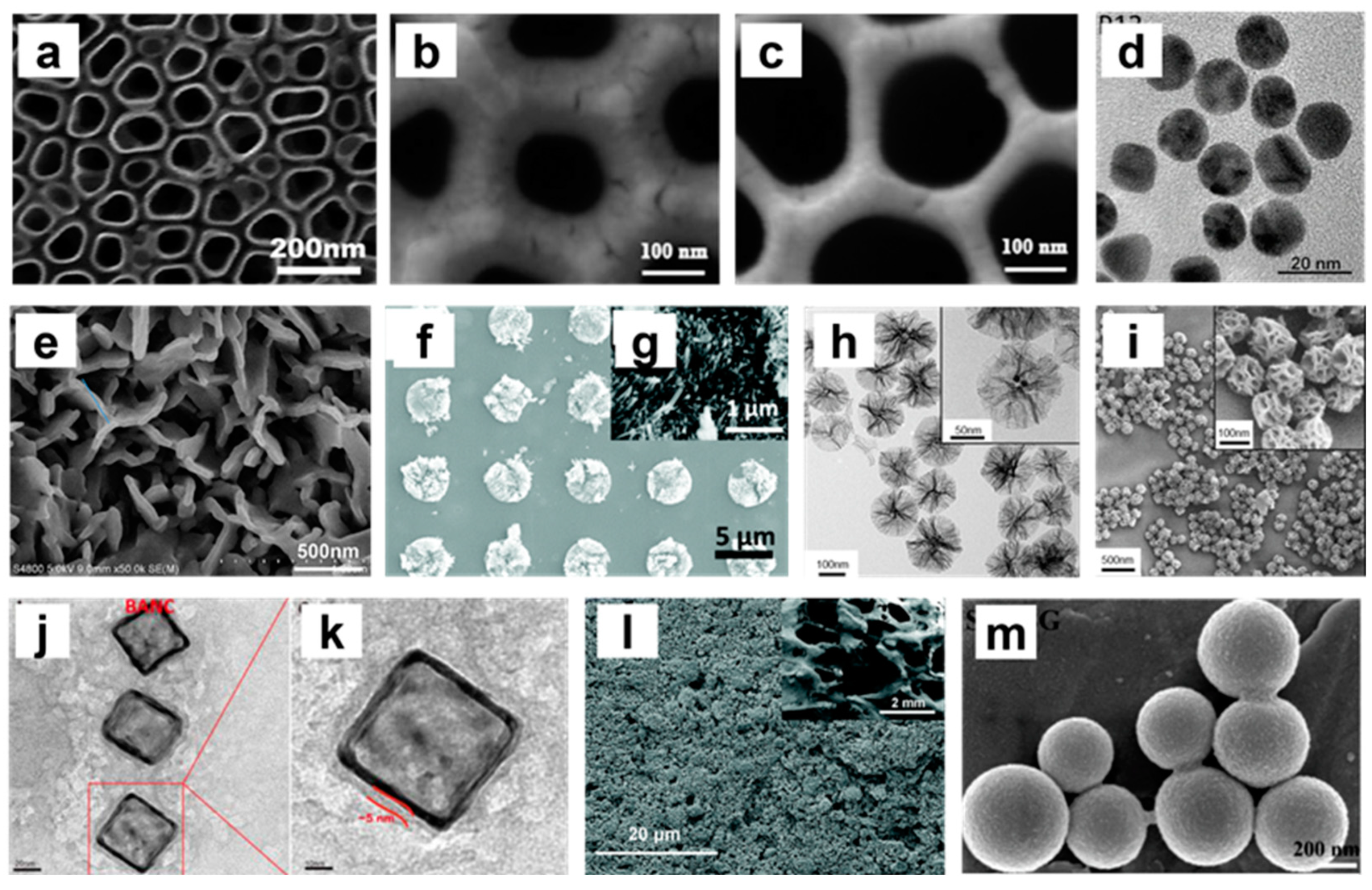 Nanomaterials 13 00692 g005 Nanomaterials 13 00692 g005