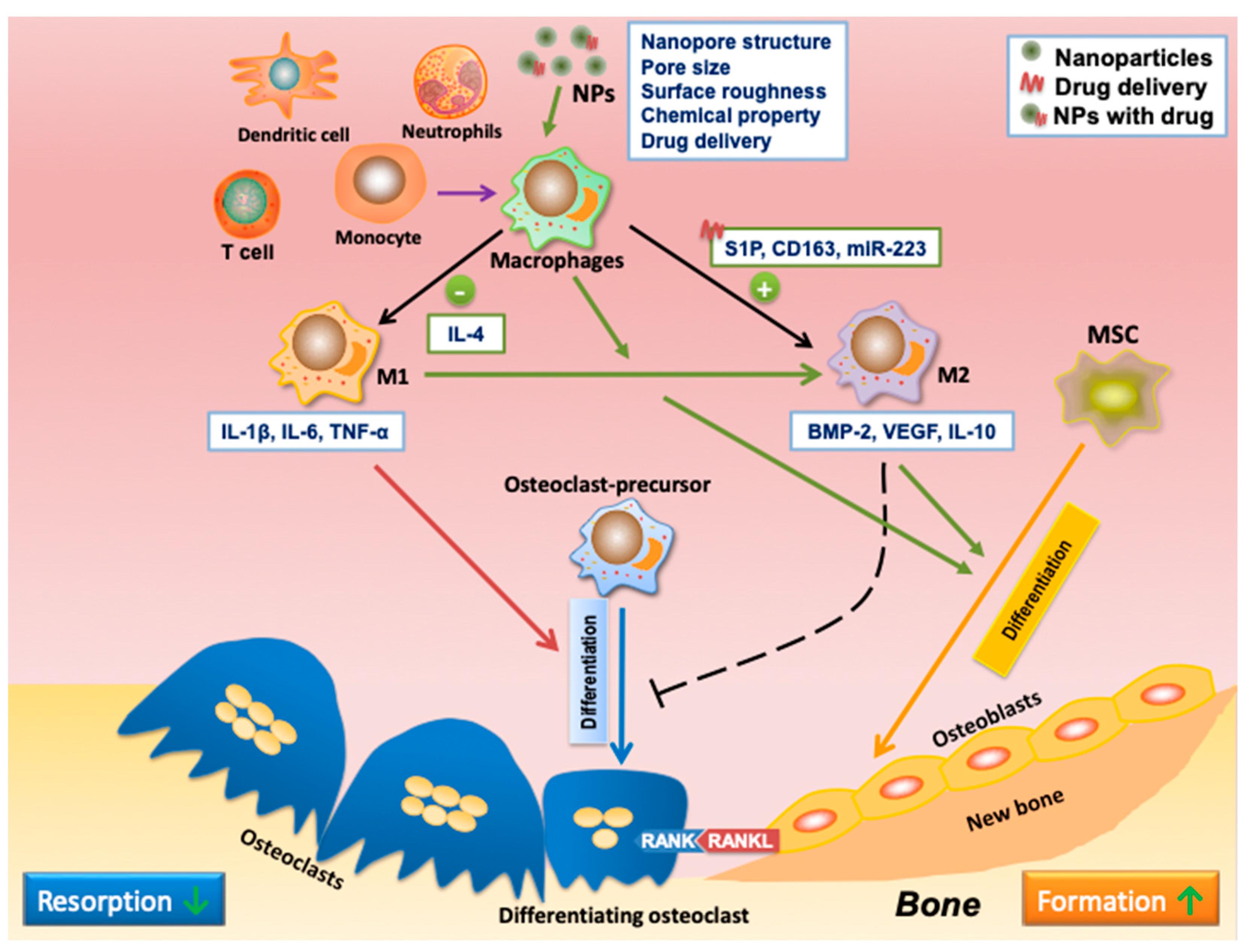 Nanomaterials 13 00692 g006 Nanomaterials 13 00692 g006