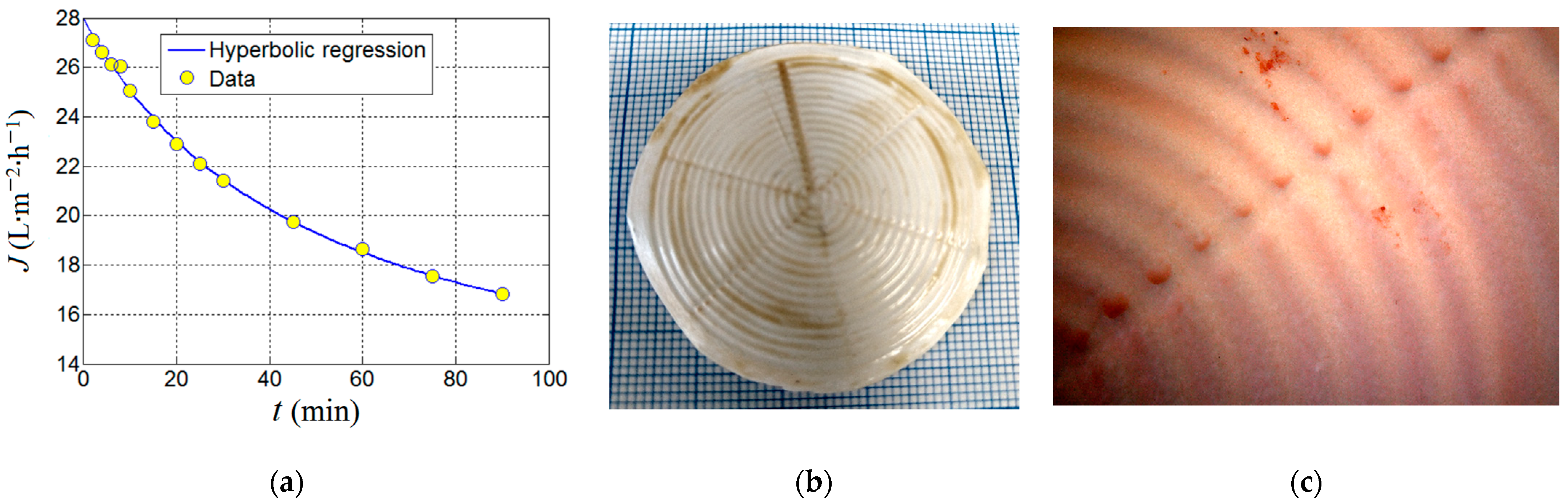 Nanomaterials 13 00697 g012 550