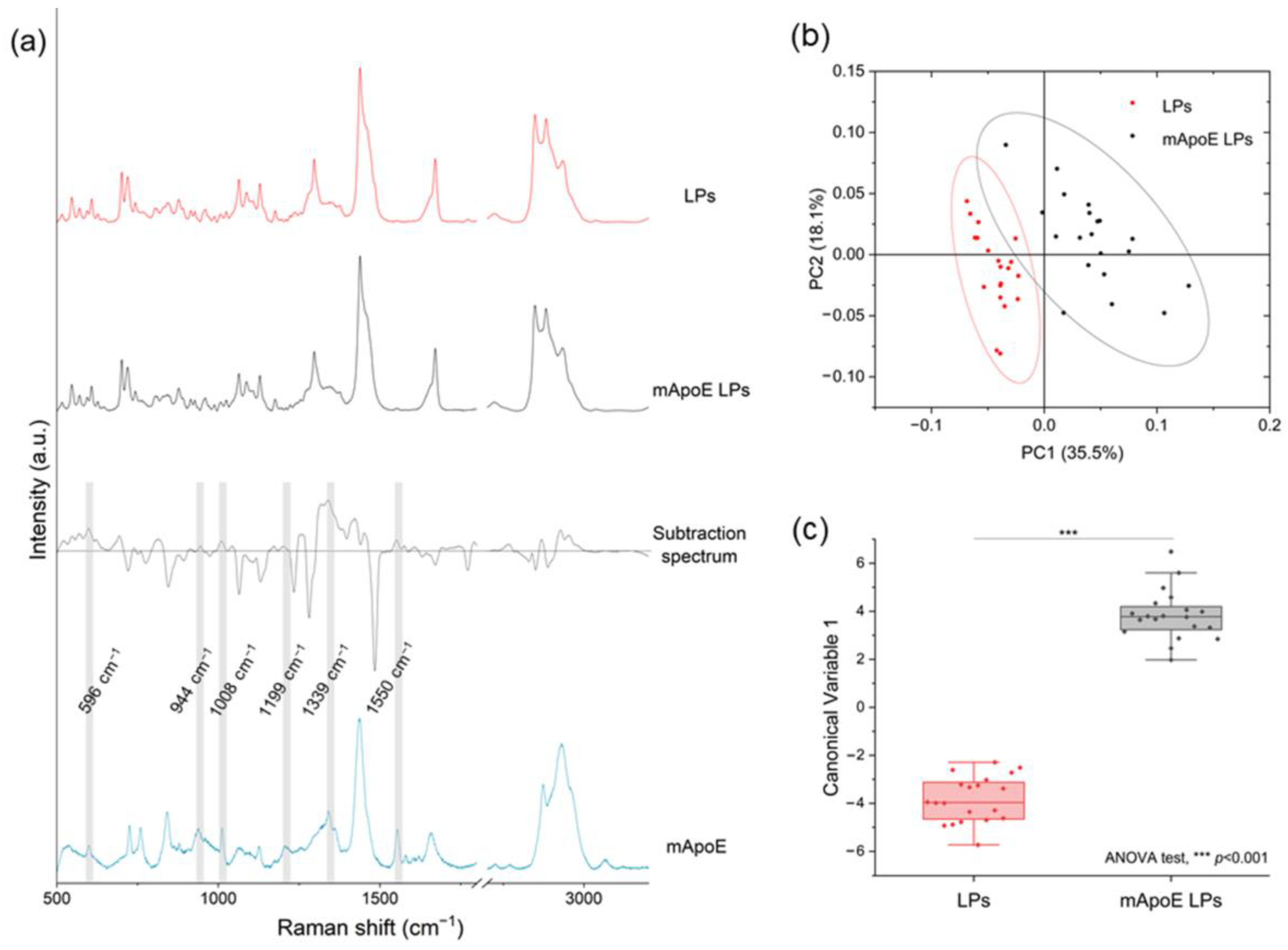Nanomaterials 13 00699 g003 Nanomaterials 13 00699 g003
