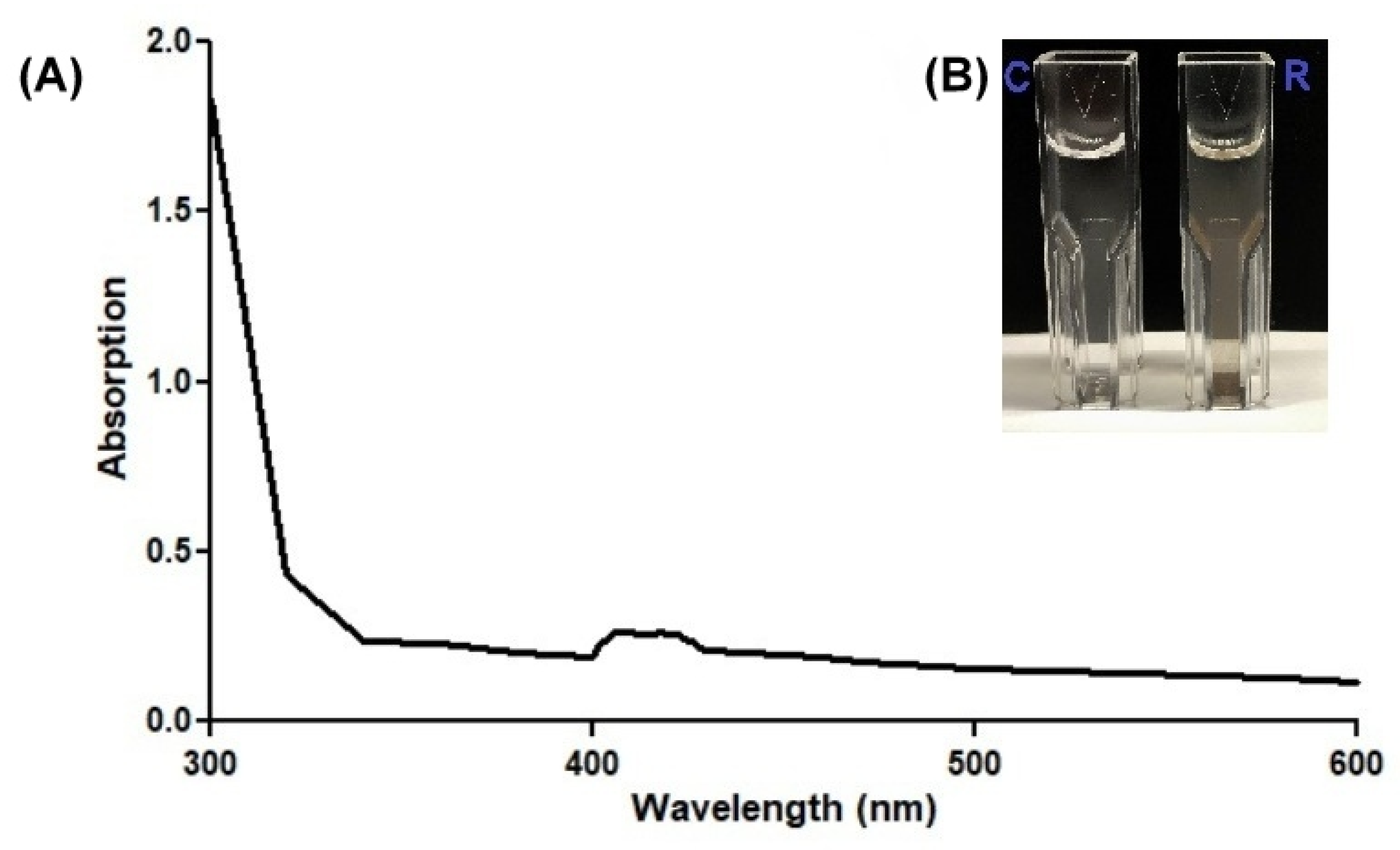 Nanomaterials 13 00702 g006 Nanomaterials 13 00702 g006