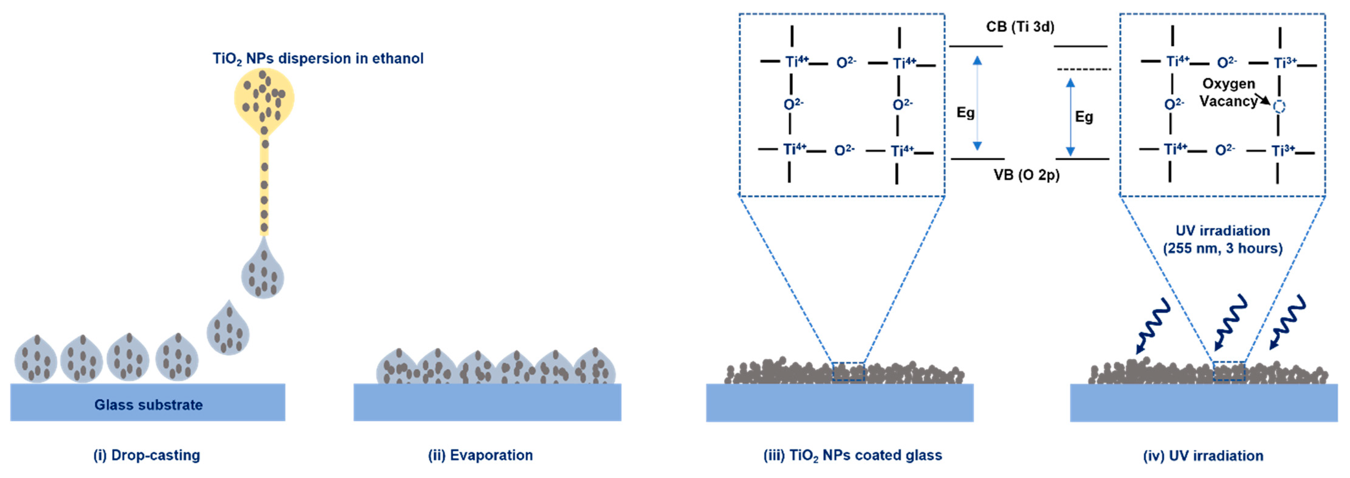 Nanomaterials 13 00703 g001 550