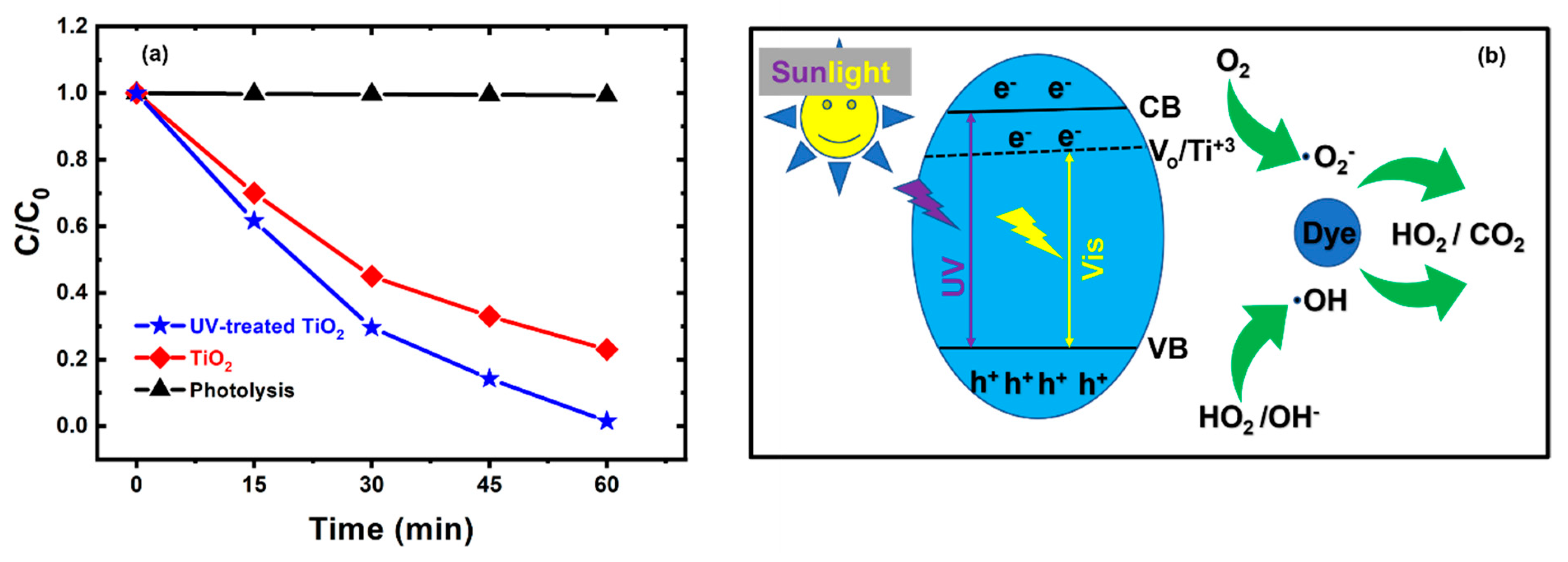 Nanomaterials 13 00703 g003 550