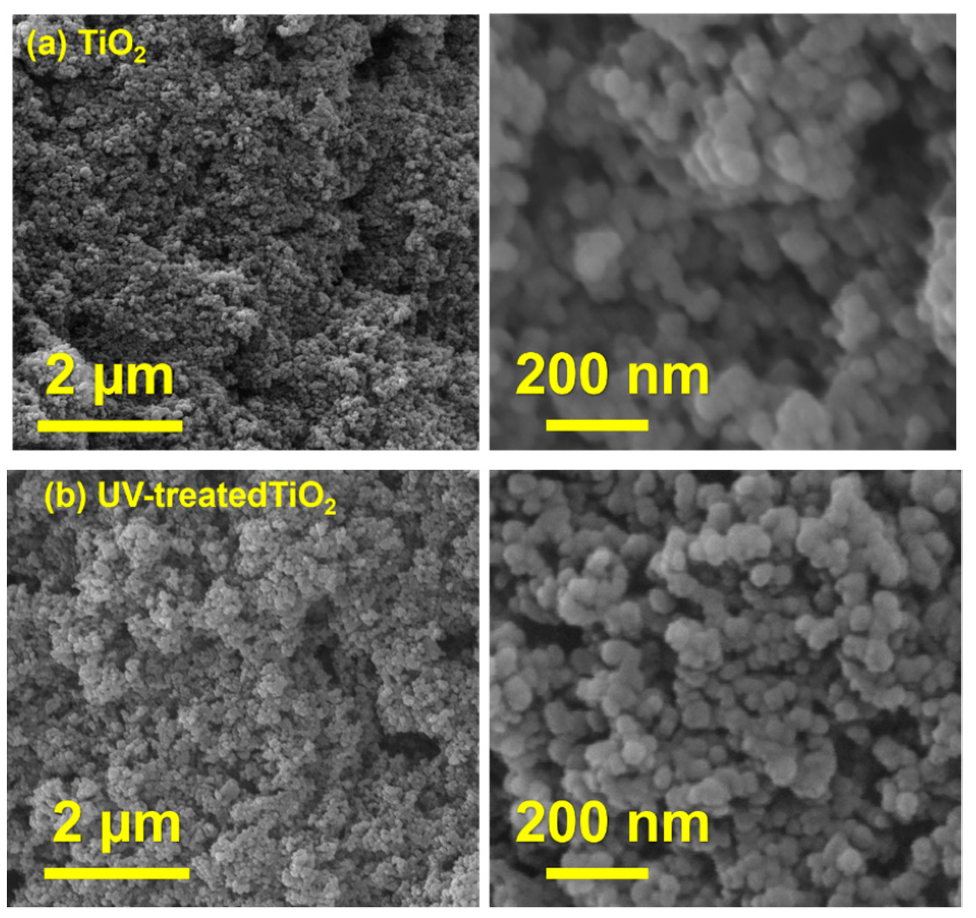 Nanomaterials 13 00703 g006 550