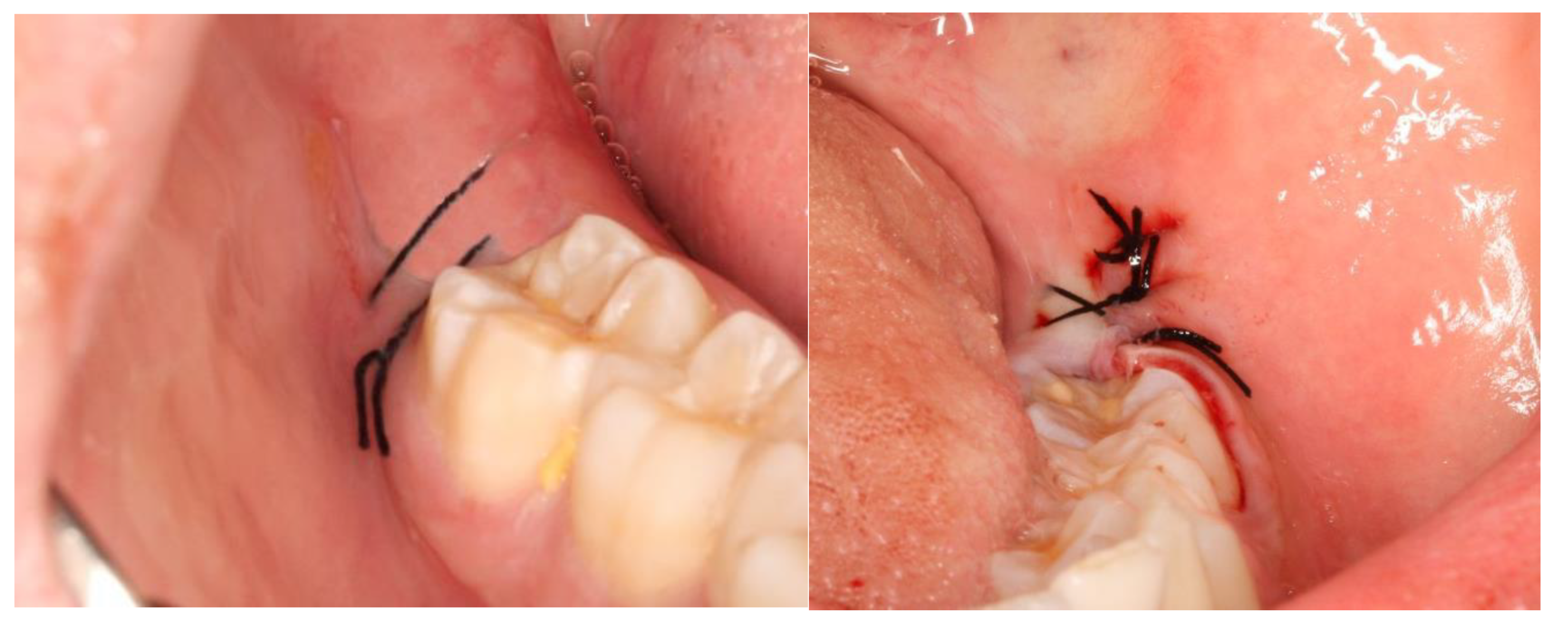 Nanomaterials 13 00706 g005 Nanomaterials 13 00706 g005
