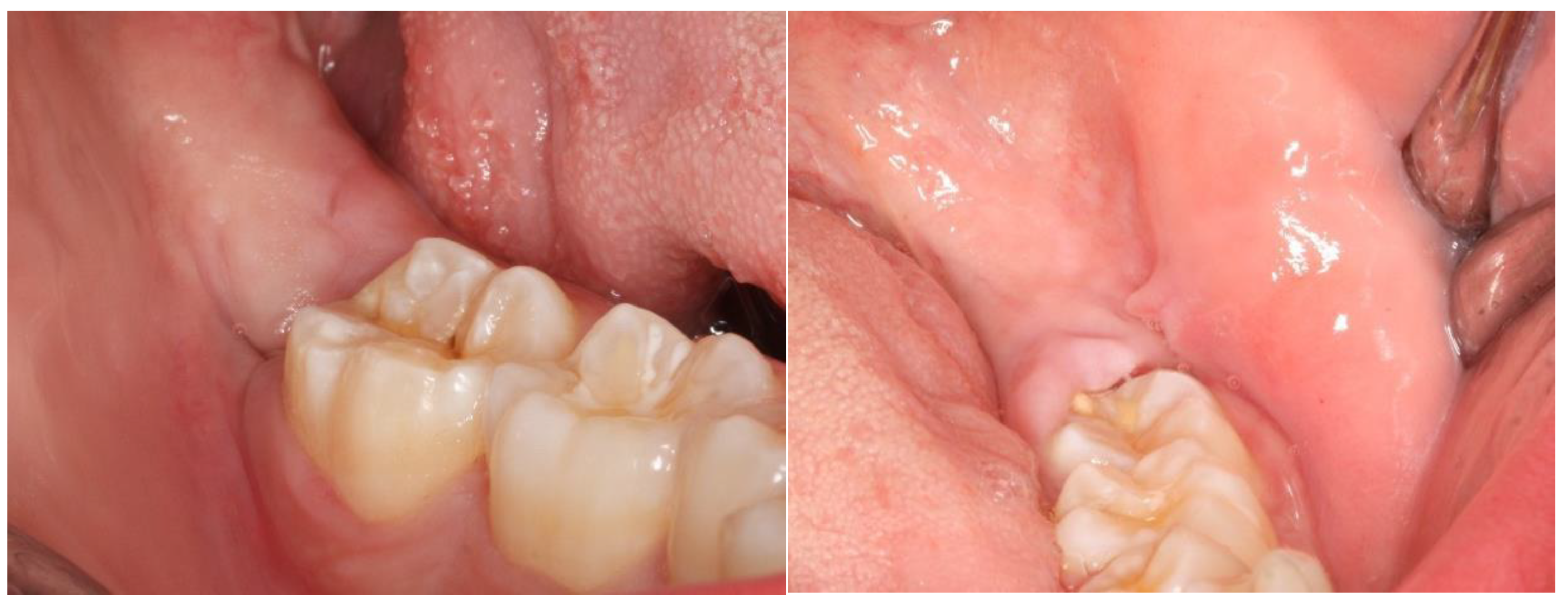 Nanomaterials 13 00706 g009 Nanomaterials 13 00706 g009