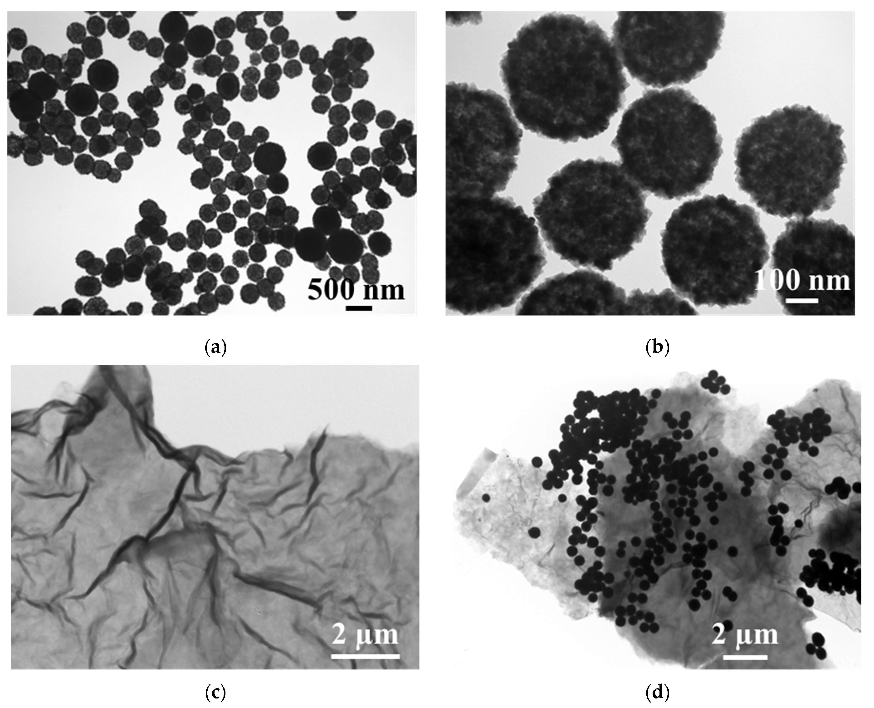 Nanomaterials 13 00707 g001 Nanomaterials 13 00707 g001