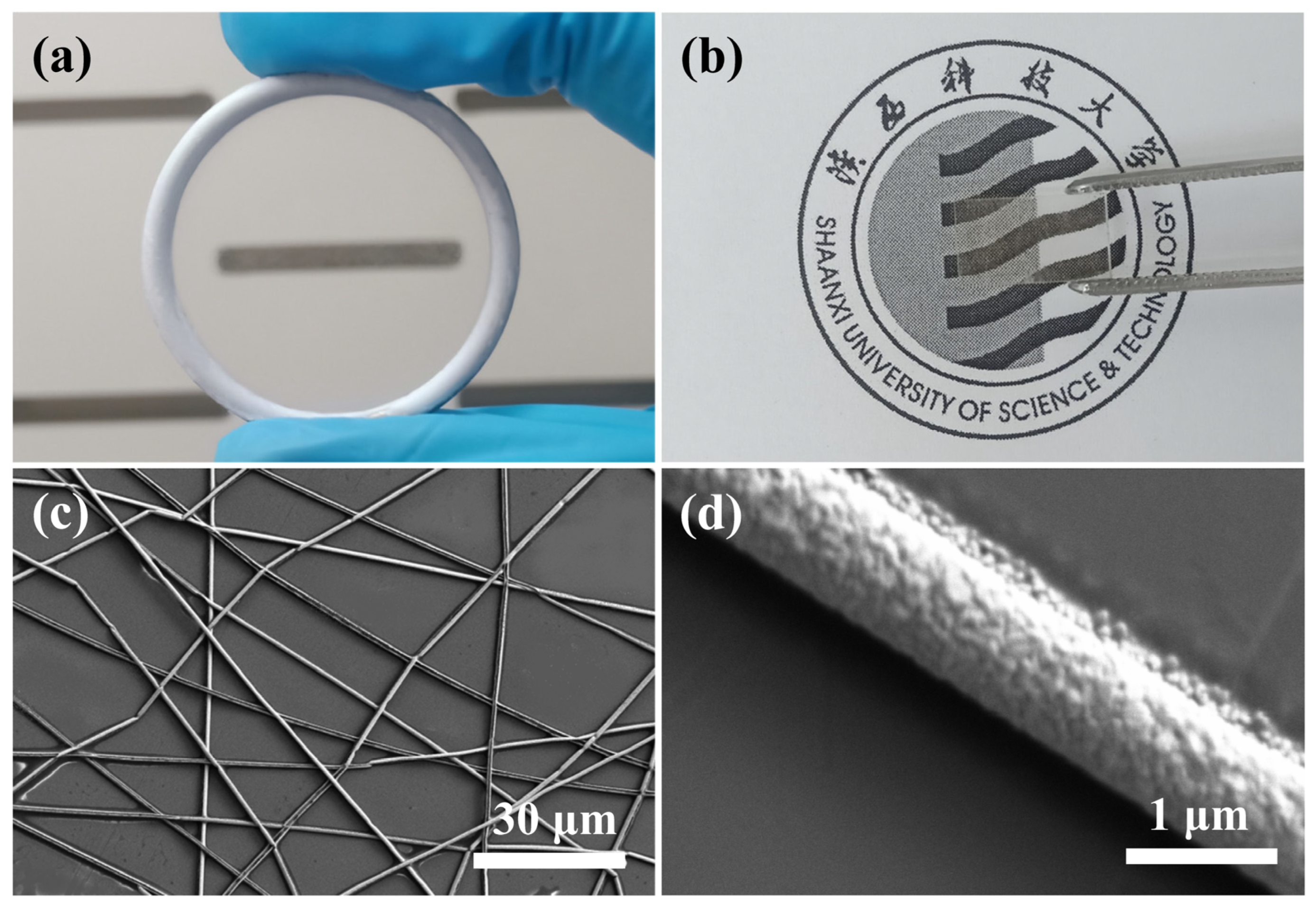 Nanomaterials 13 00708 g002 550
