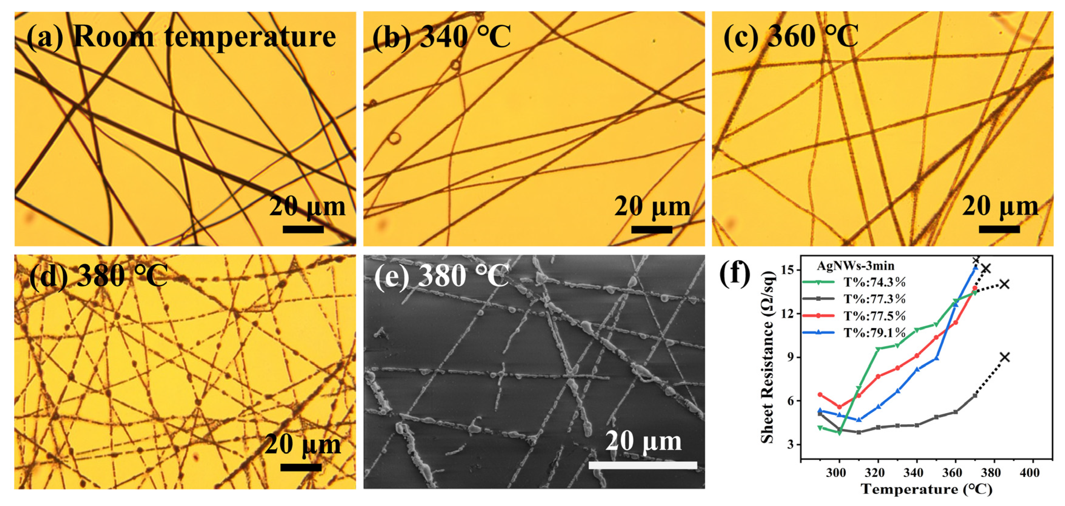 Nanomaterials 13 00708 g004 550