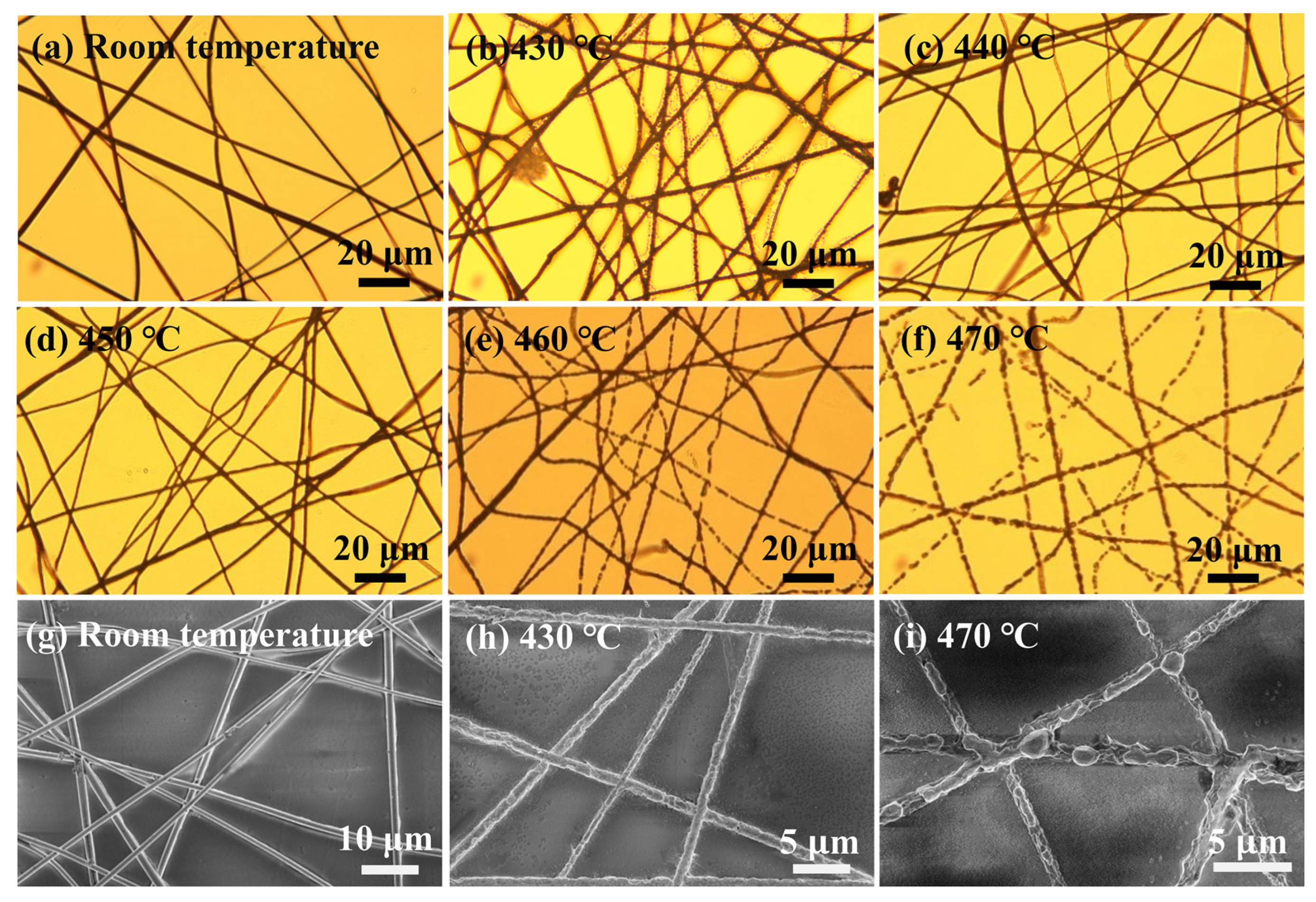 Nanomaterials 13 00708 g006 550