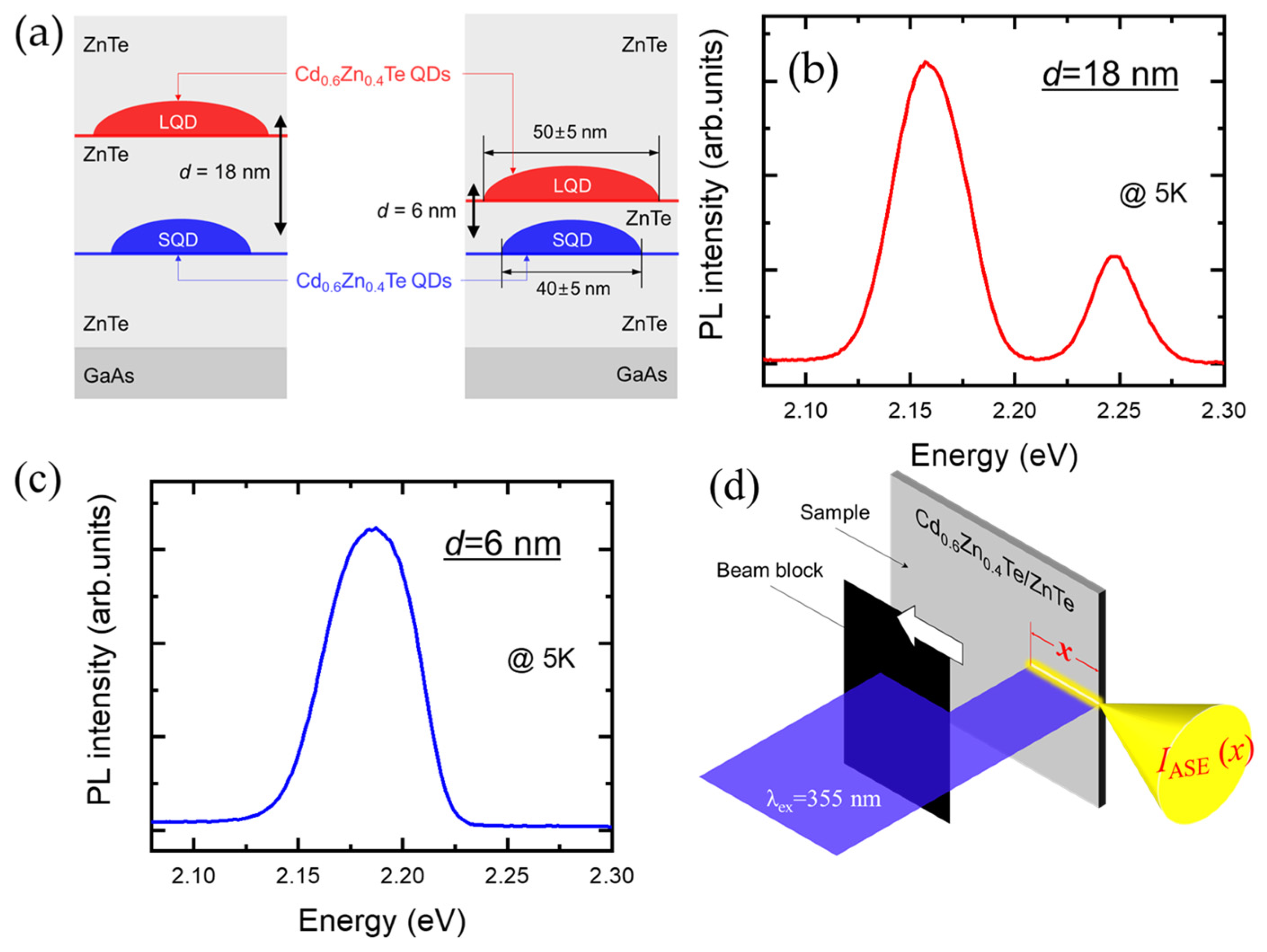 Nanomaterials 13 00716 g001 550