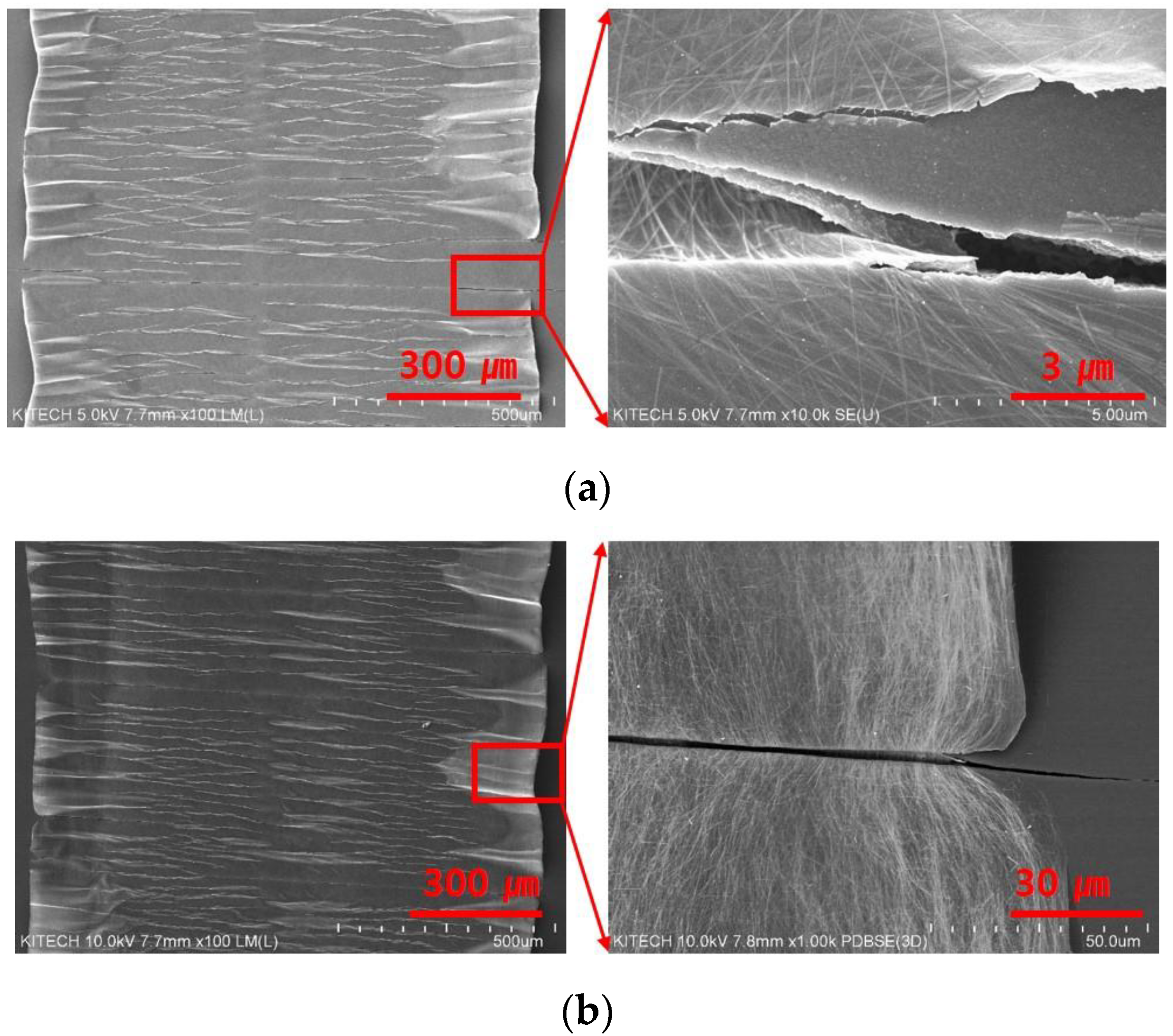 Nanomaterials 13 00719 g003 550