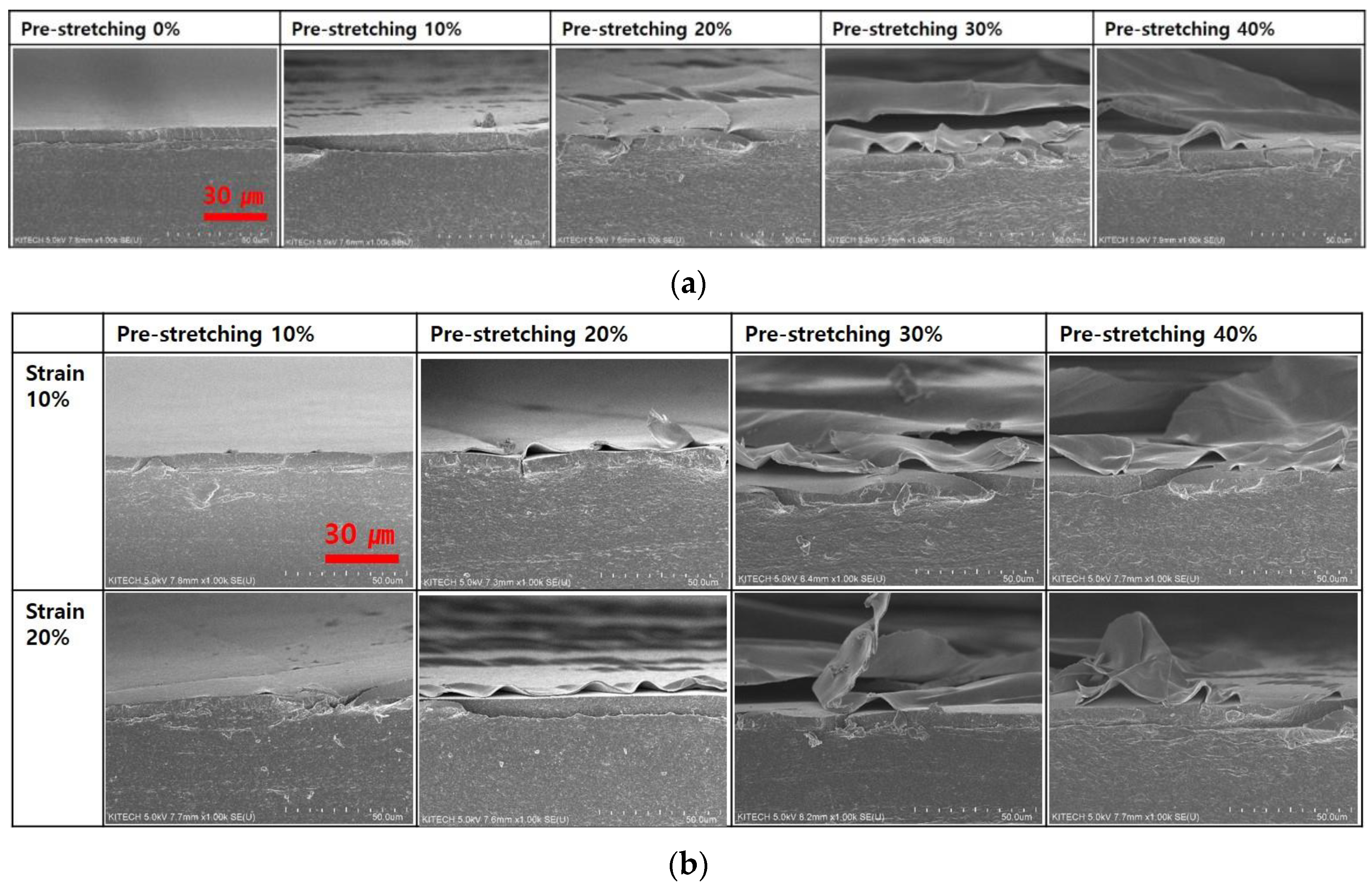 Nanomaterials 13 00719 g006 550