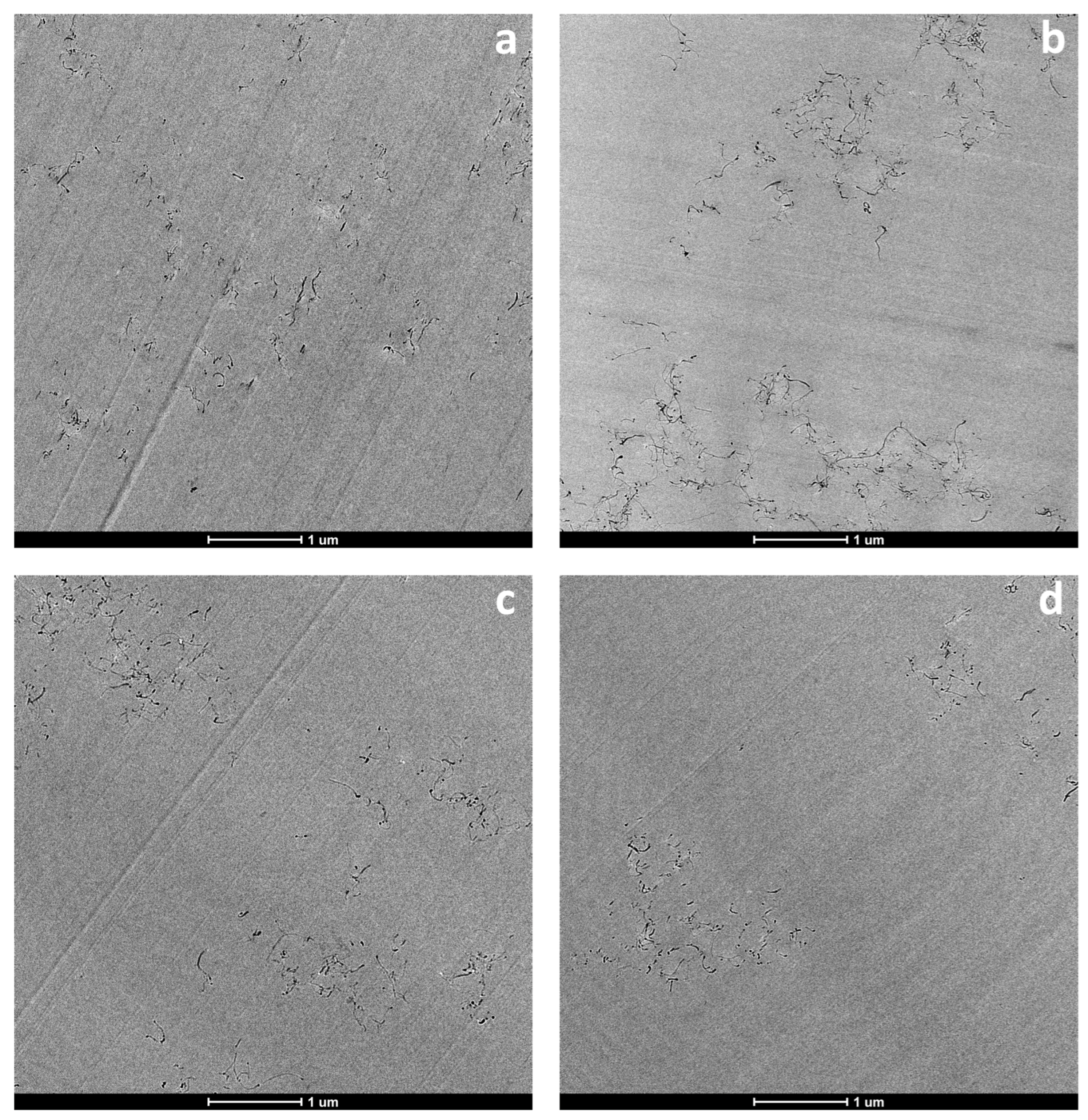 Nanomaterials 13 00725 g003