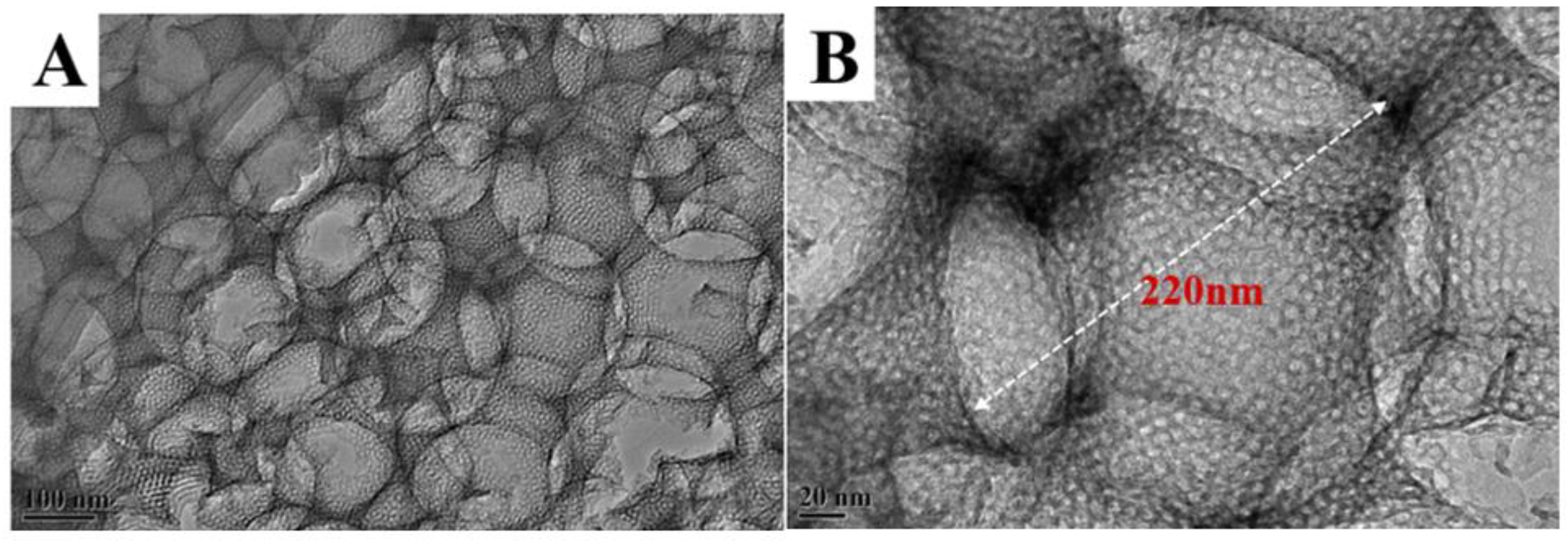 Nanomaterials 13 00728 g002a 550