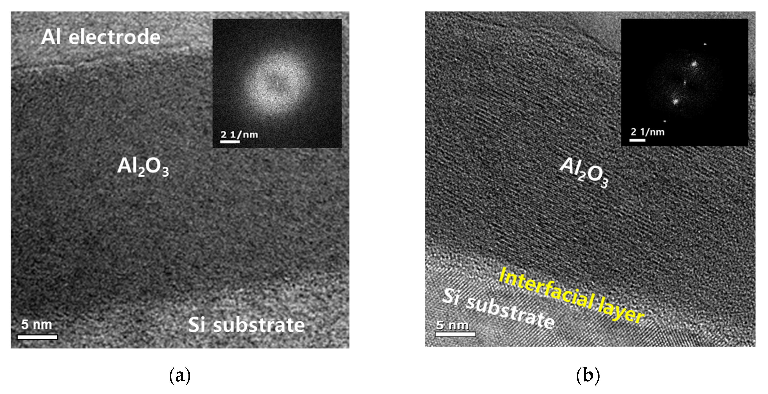 Nanomaterials 13 00731 g002 550
