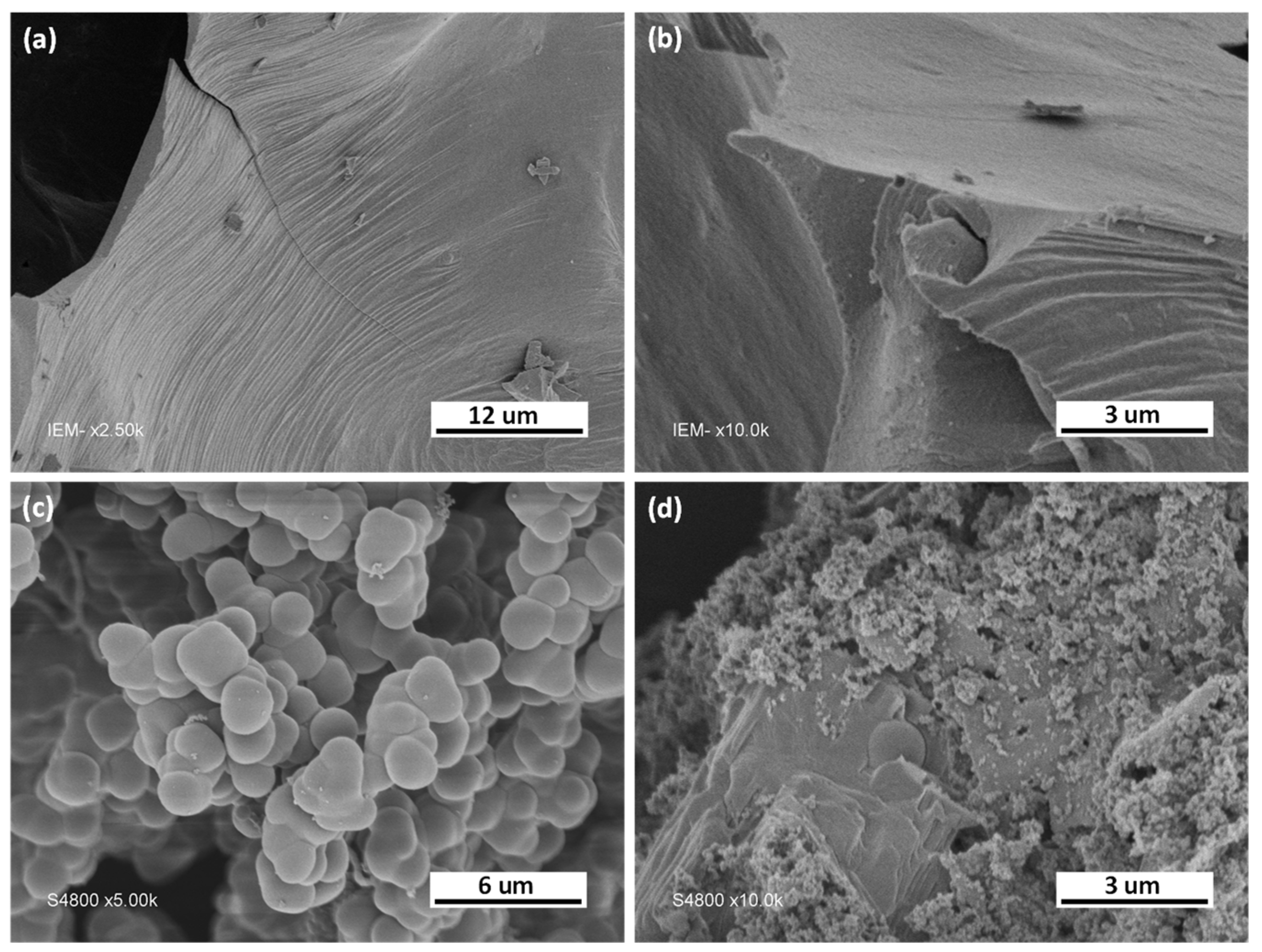 Nanomaterials 13 00734 g002 Nanomaterials 13 00734 g002