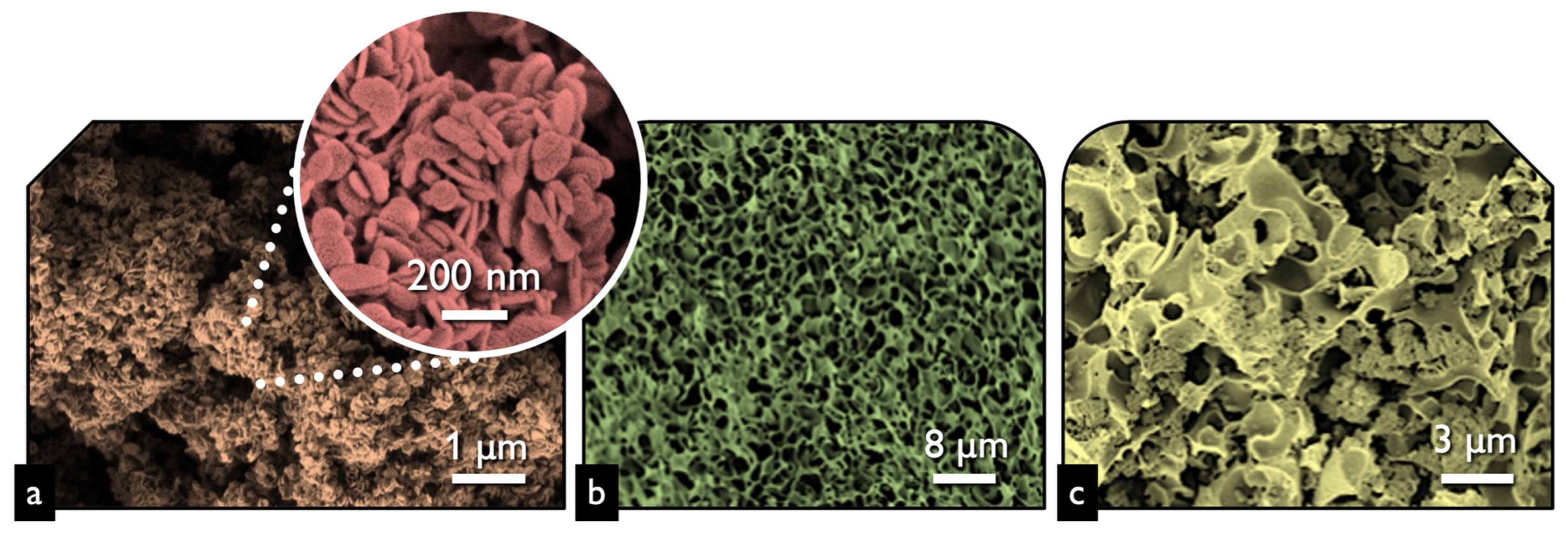 Nanomaterials 13 00735 g001 Nanomaterials 13 00735 g001
