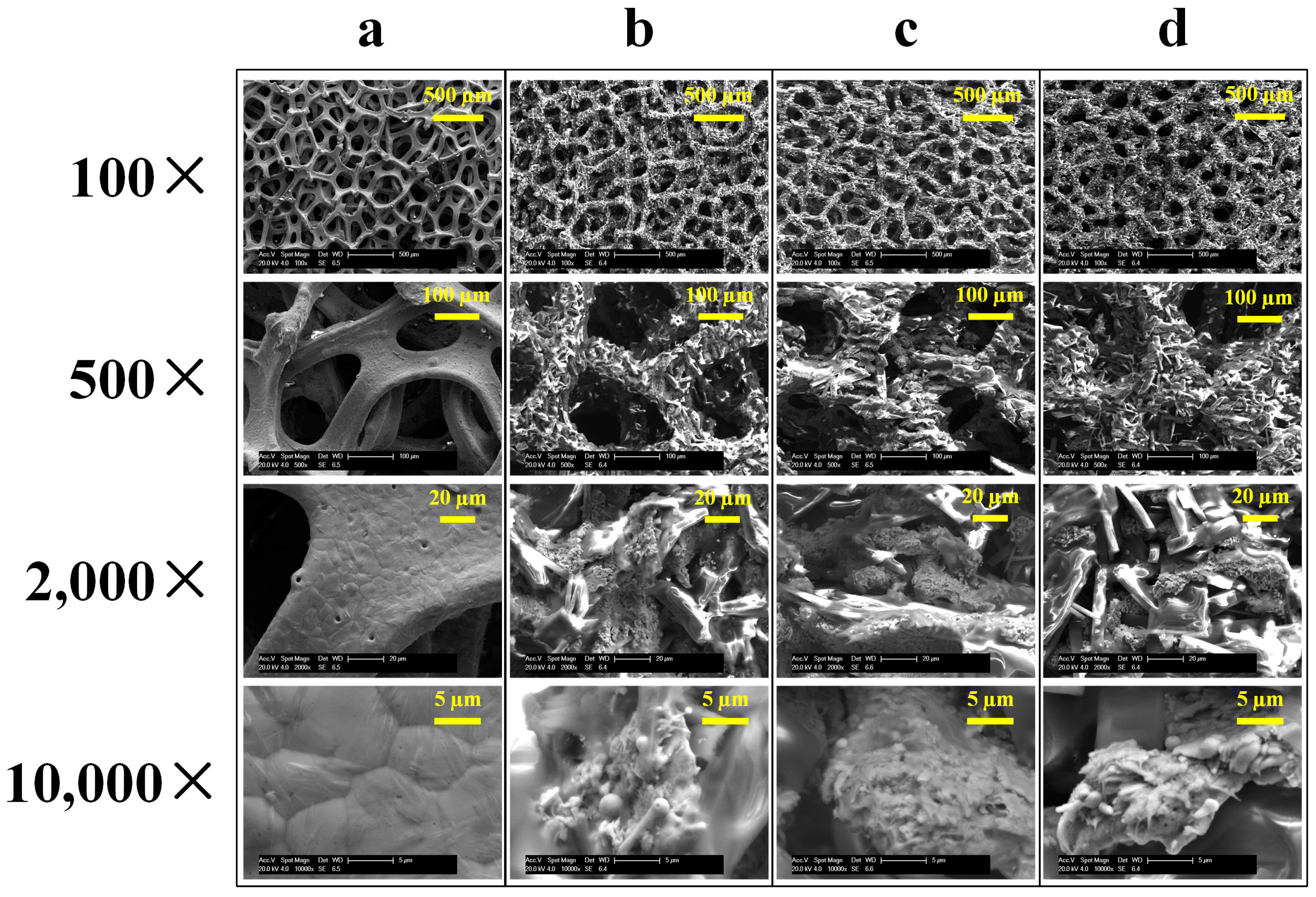 Nanomaterials 13 00736 g004