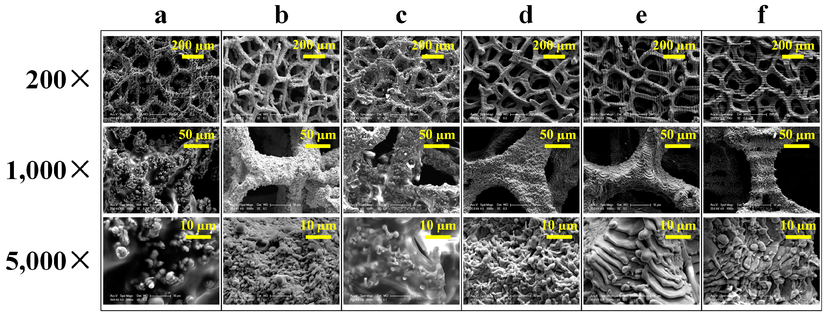 Nanomaterials 13 00736 g005